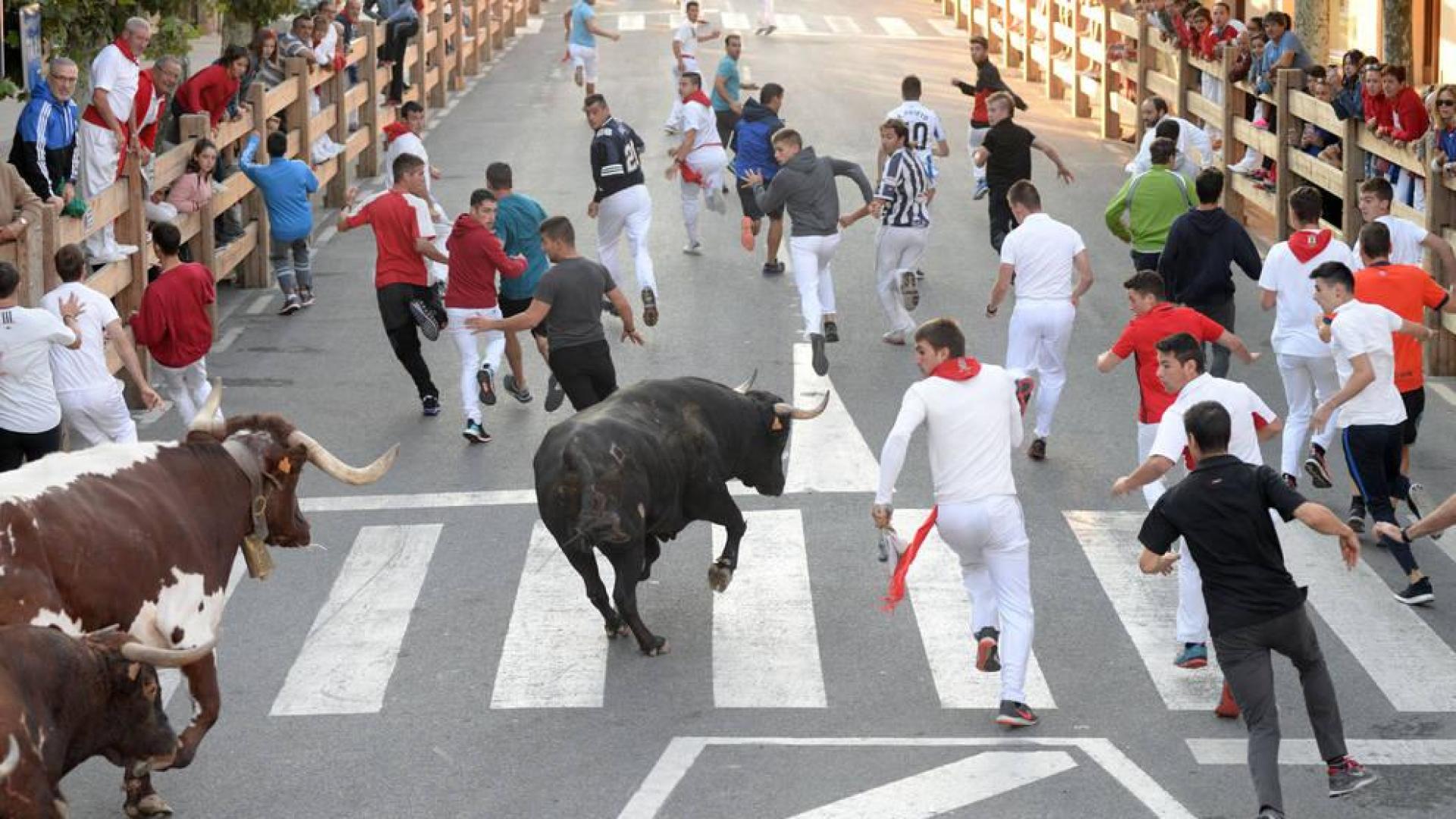 Un último encierro rápido y con cuatro heridos en Tafalla