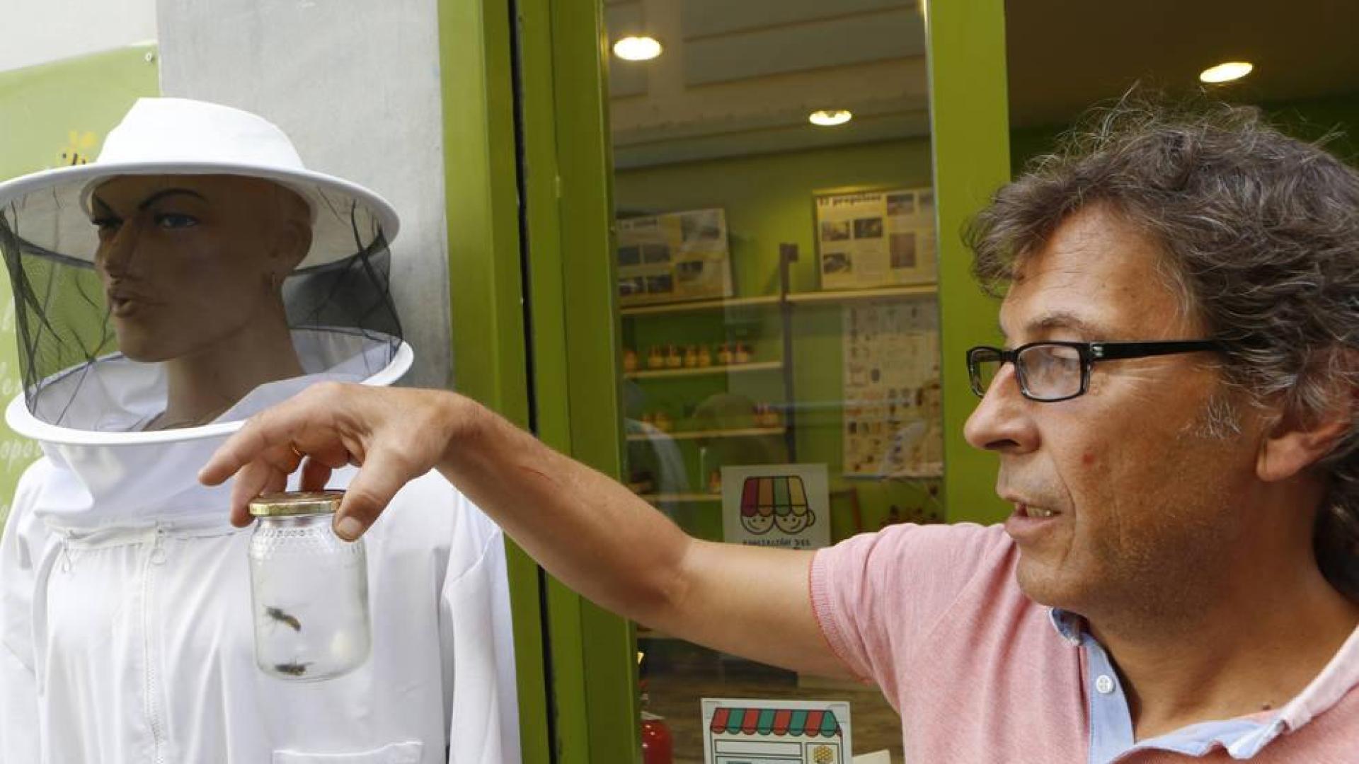 Un comerciante alerta de la presencia de avispas asiáticas en Pamplona