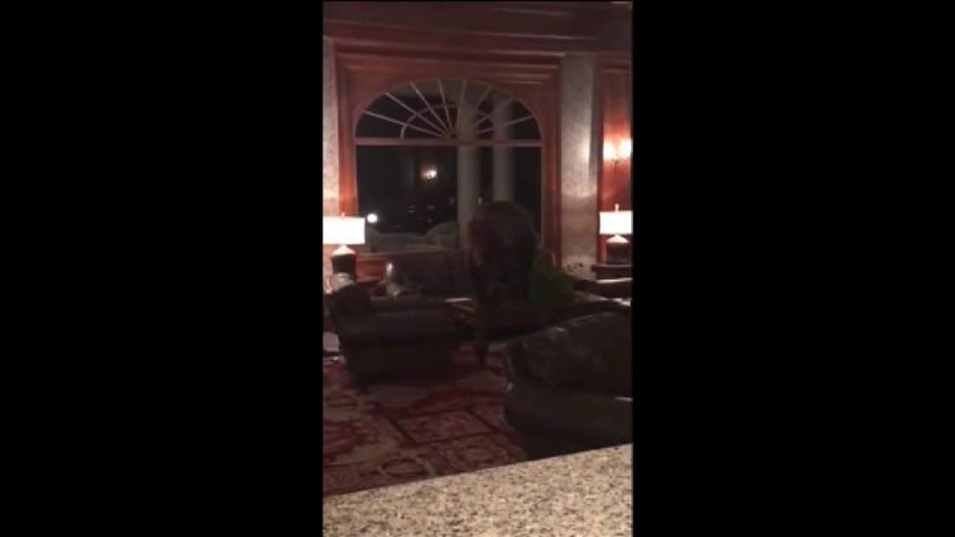 Un oso se pasea por la recepción de un hotel en Colorado