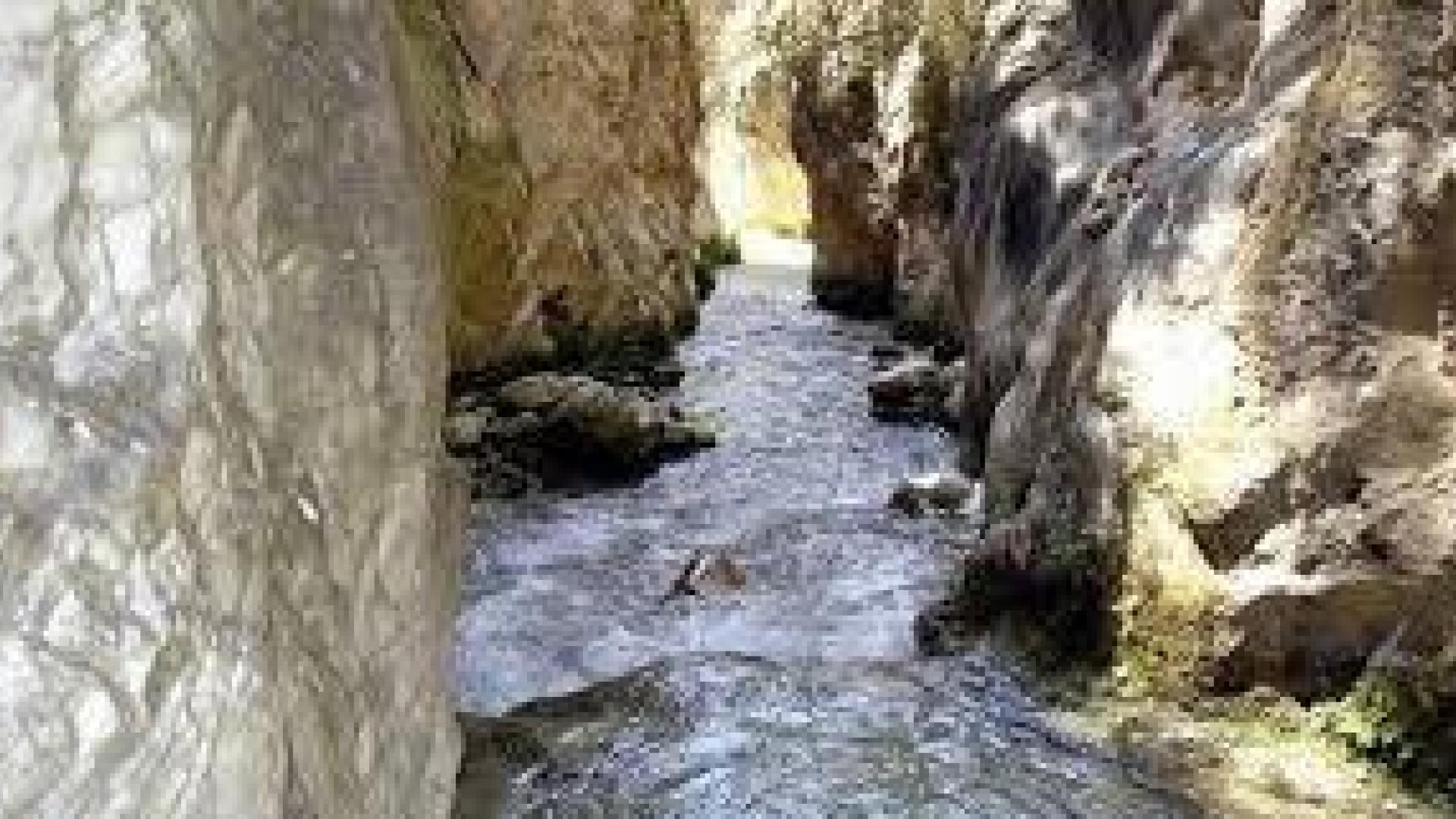 Hallado el cadáver de una mujer en un río de Málaga