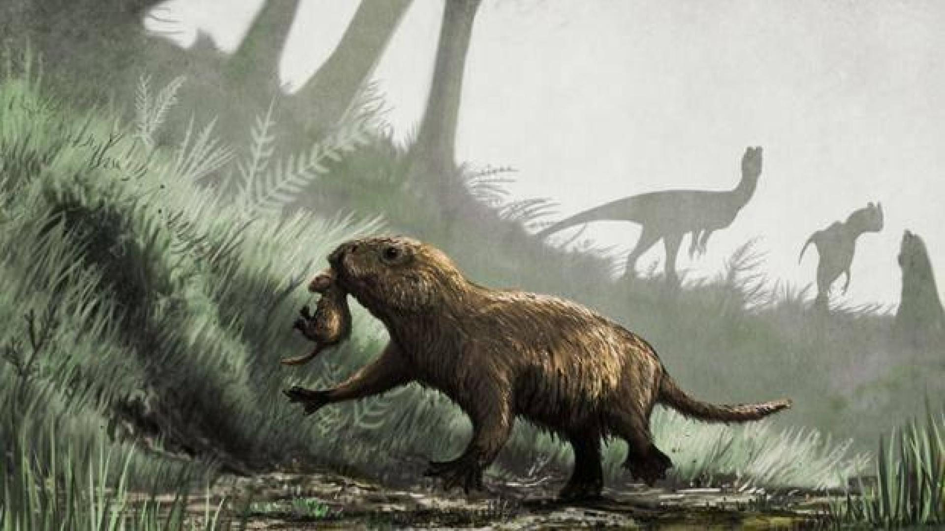Recreación de un Kayentatherium con una cría