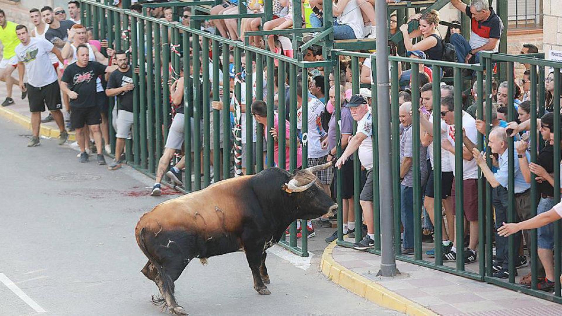 Muere un joven corneado por un toro en el encierro de un pueblo de Ciudad Real