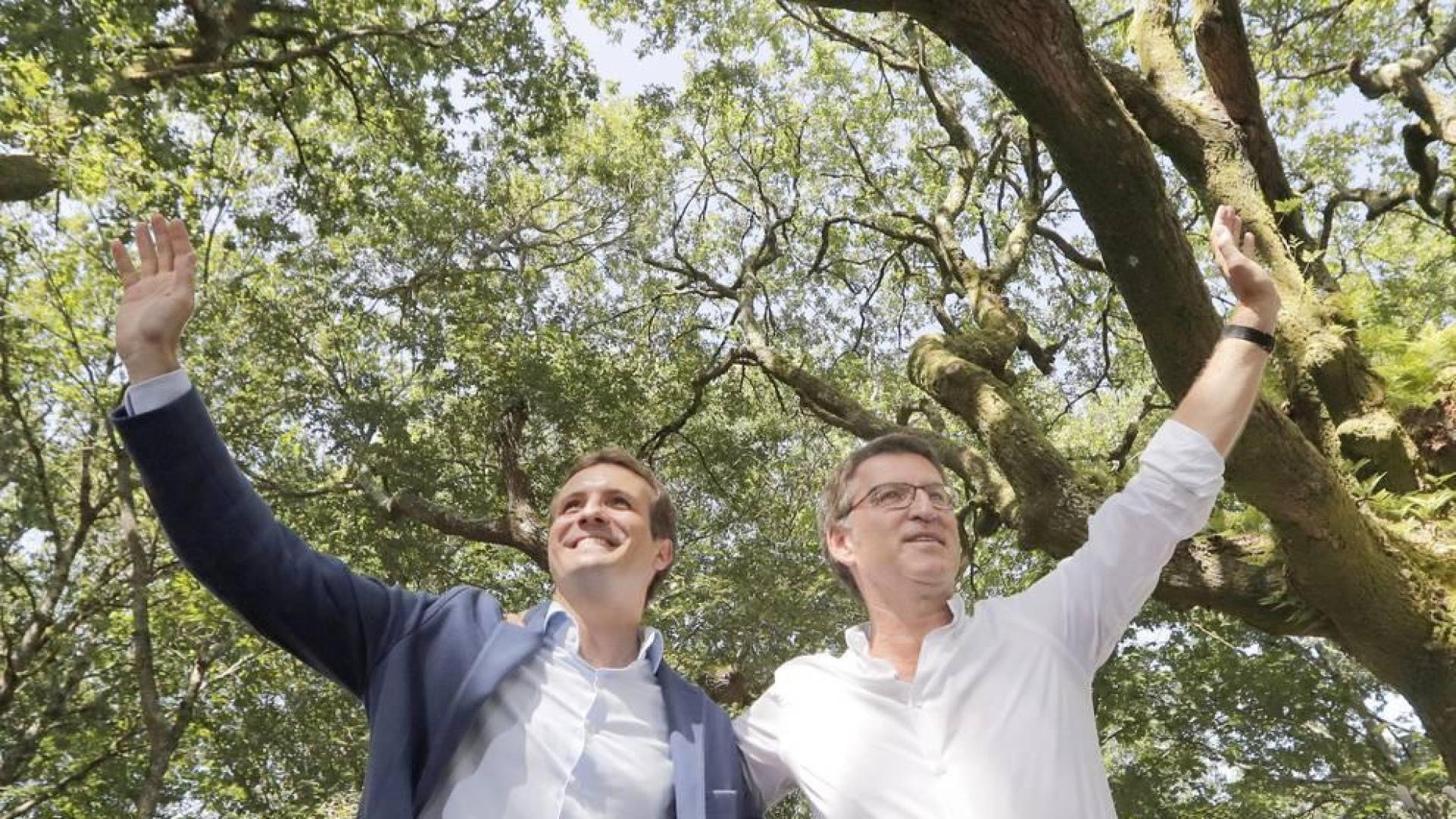 Casado anuncia la convención nacional del PP para el 1 y 2 de diciembre