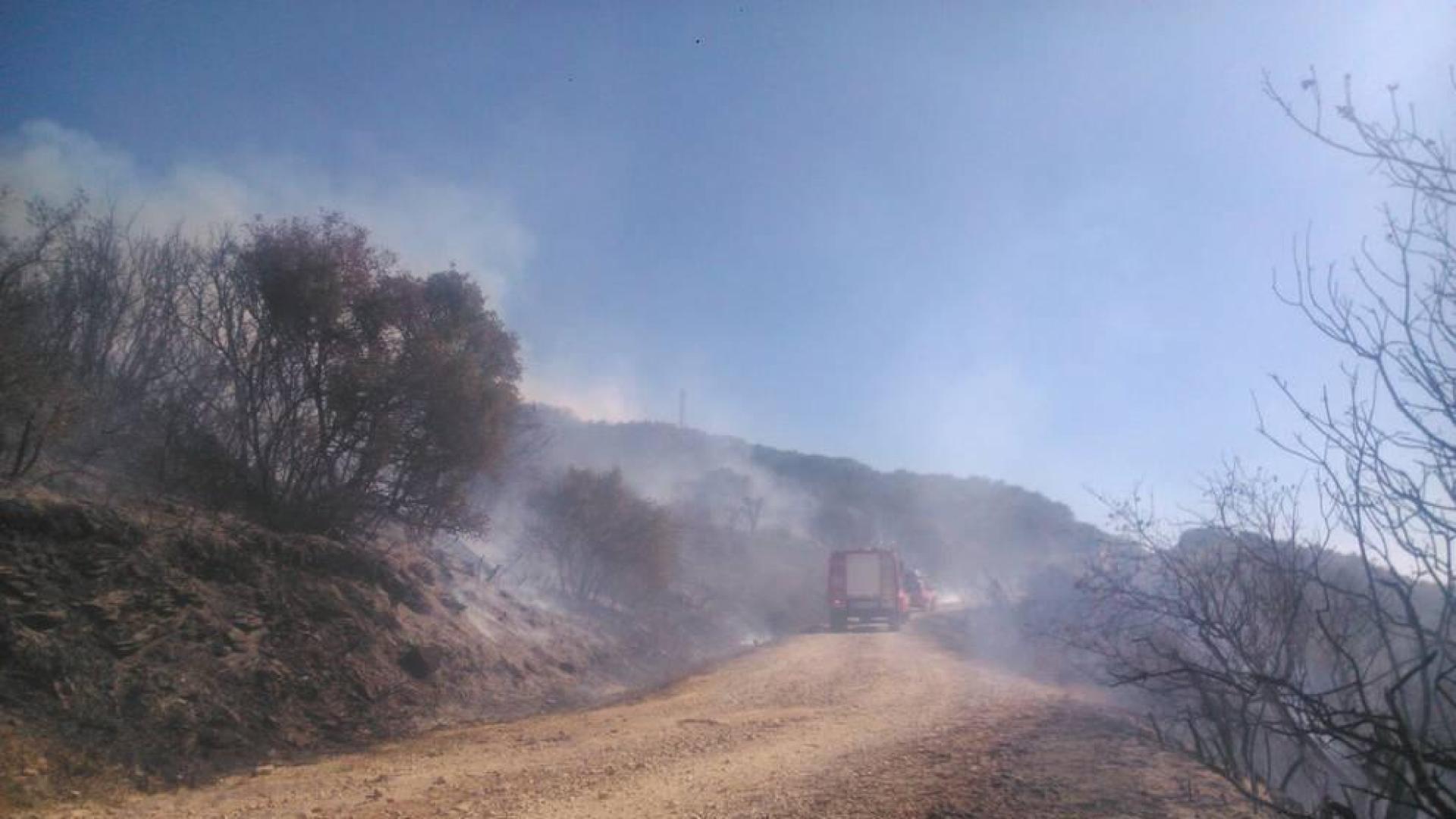 Bomberos forestales de los parques de Cordovilla, Tafalla y Estella y las dos Brigadas de Refuerzo en Incendios Forestales han acudido a la zona donde se ha extendido el fuego.