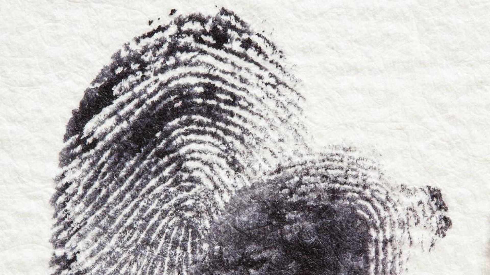 Criminología, una apuesta de la UNED que se ha recibido con los brazos abiertos