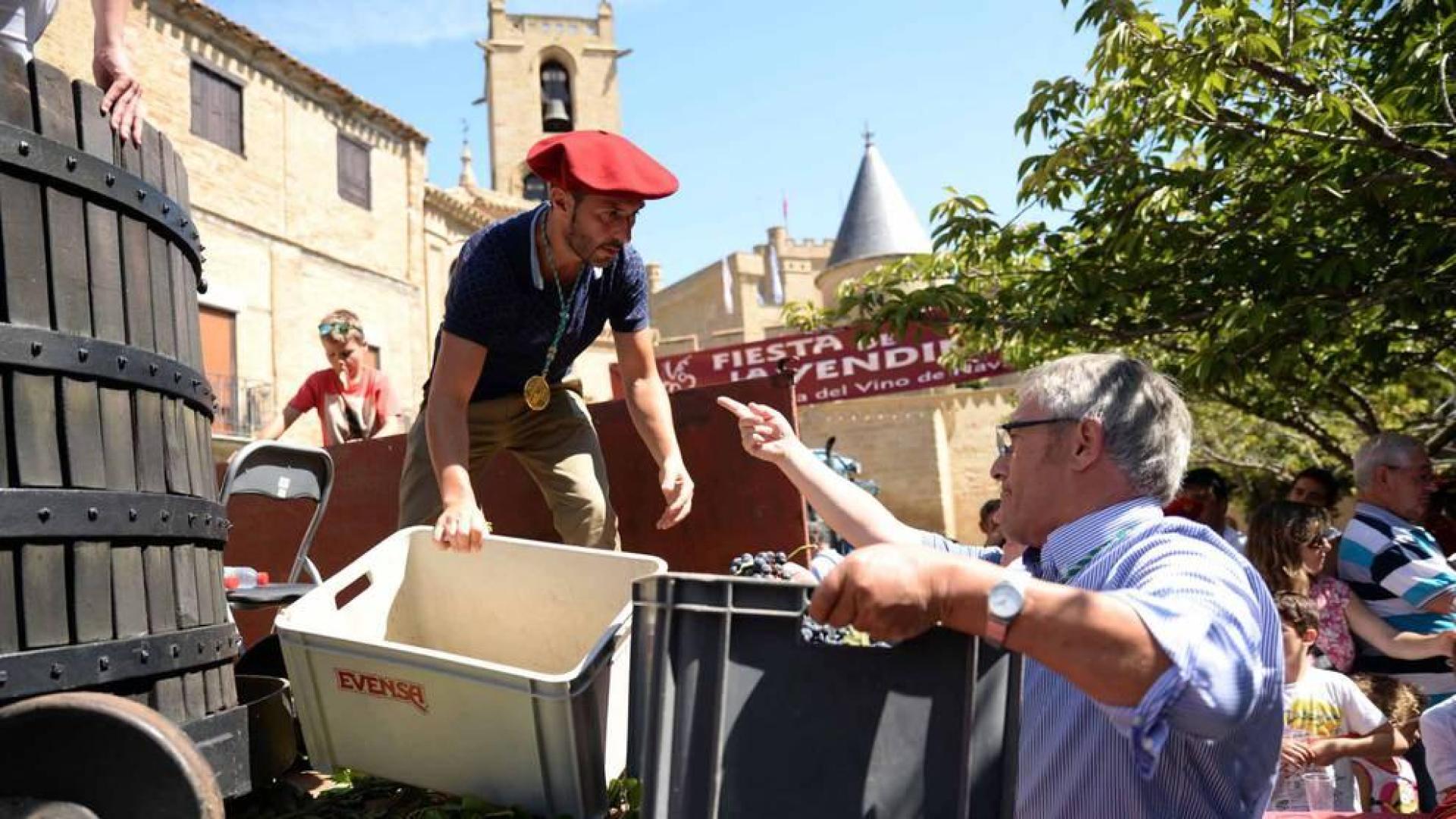 Imágenes de la Fiesta de la Vendimia de Navarra, celebrada en Olite este domingo, 2 de septiembre, y organizada por la Cofradía del Vino de Navarra.