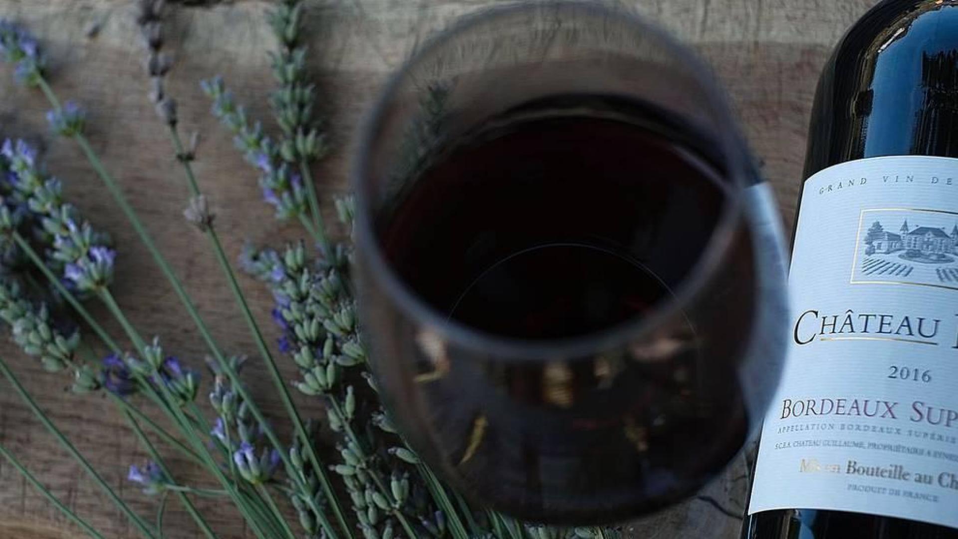 Entre el vino y la lavanda