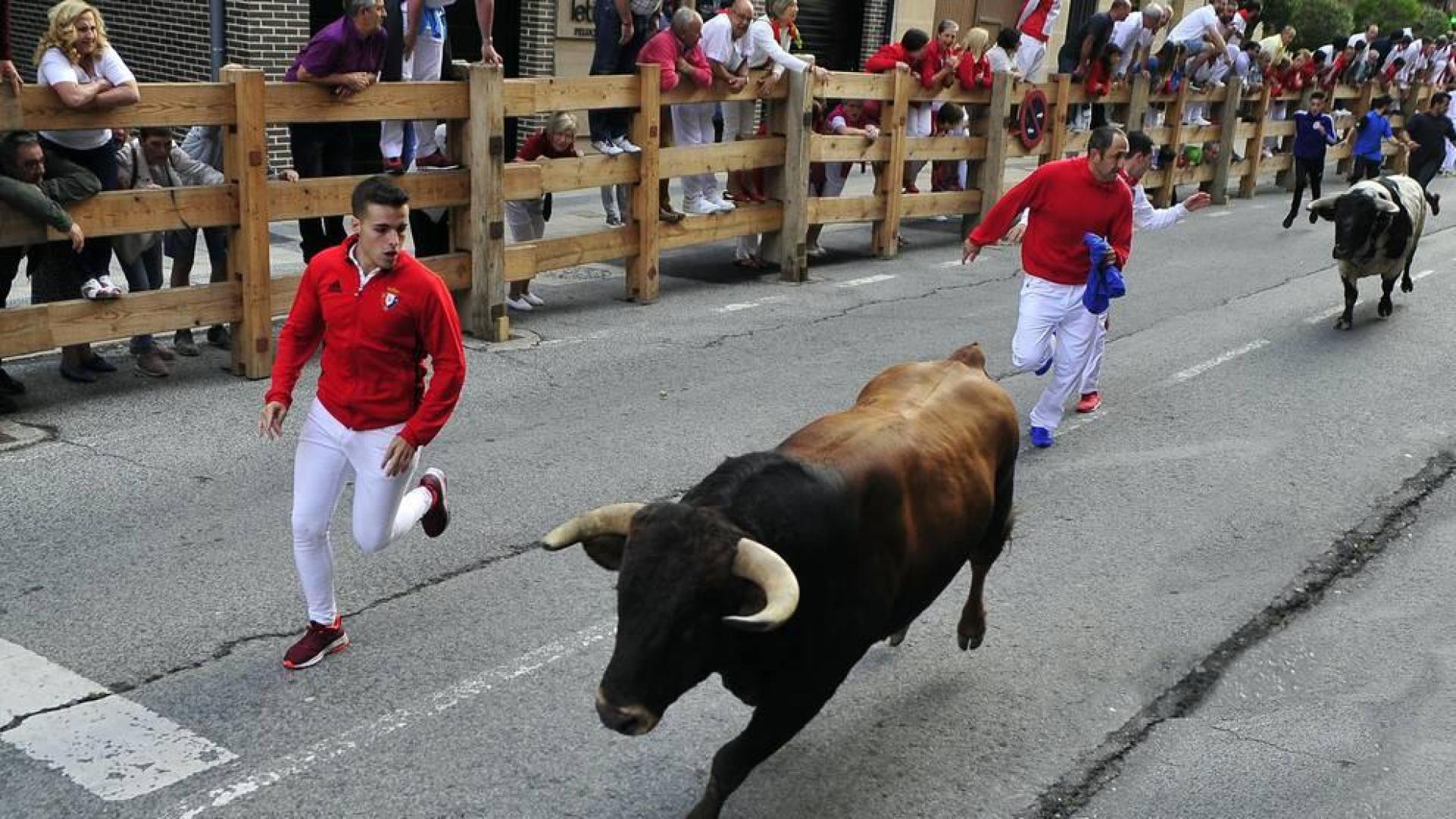 Imágenes del encierro de Peralta y de la visita de la Comparsa de gigantes y cabezudos a la residencia San Miguel