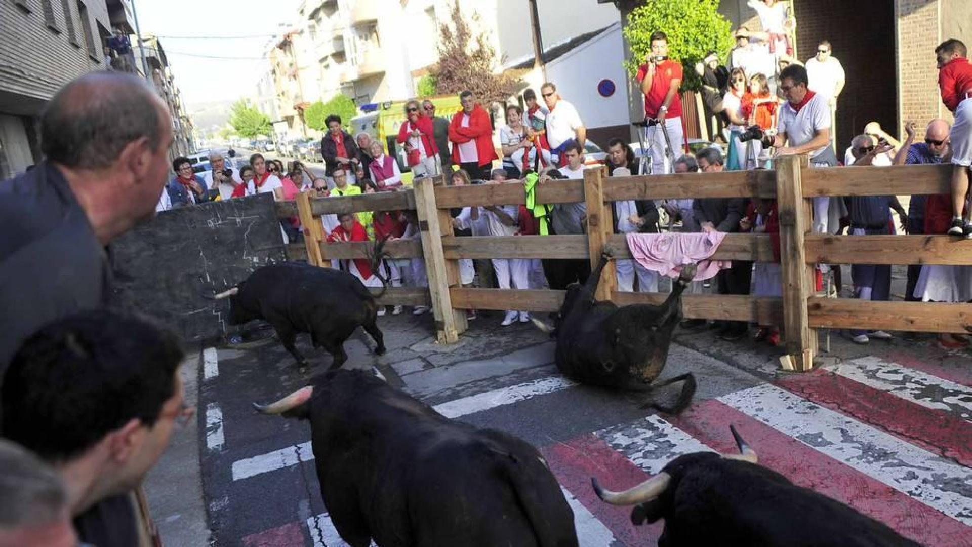 Despedida de gigantes, misa y encierro para poner fin a las fiestas patronales de Peralta