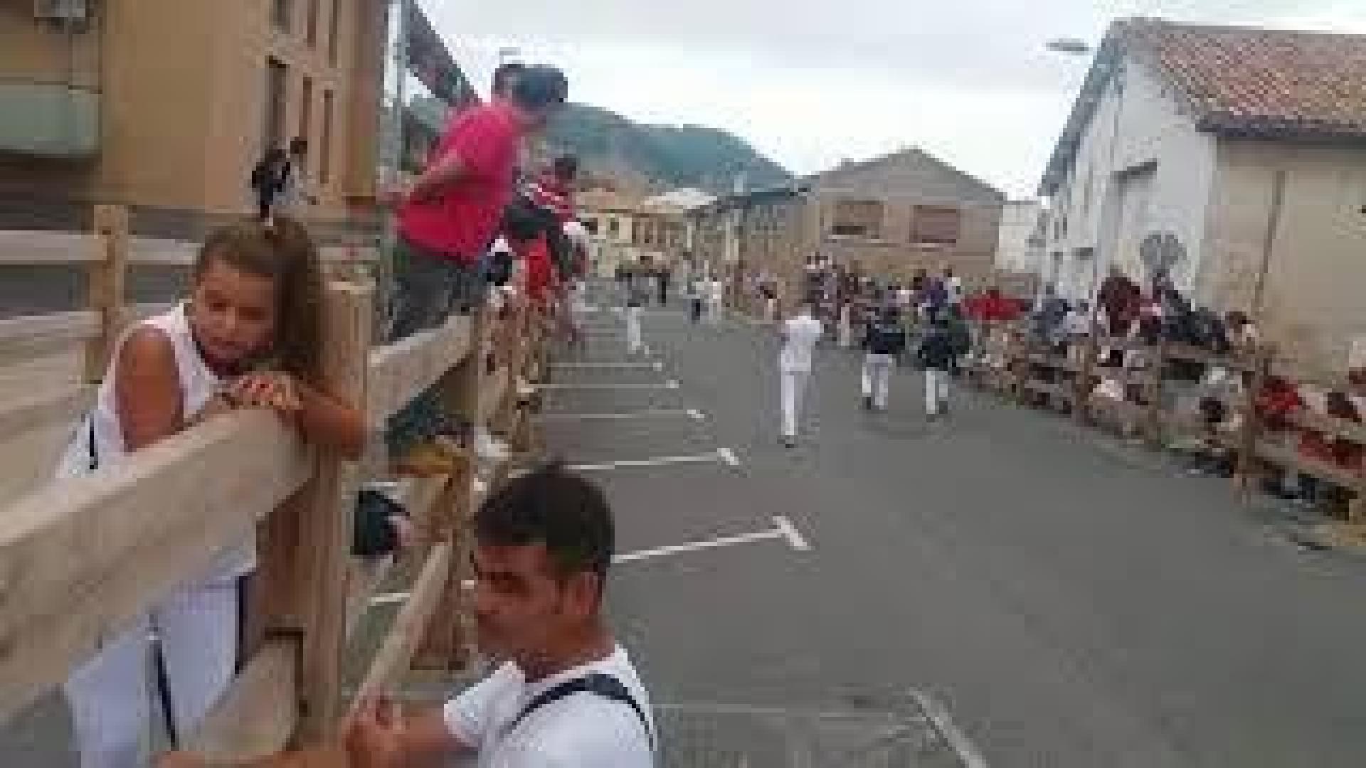 'Encierro triple' en Sangüesa por una fallo en la puerta de la plaza