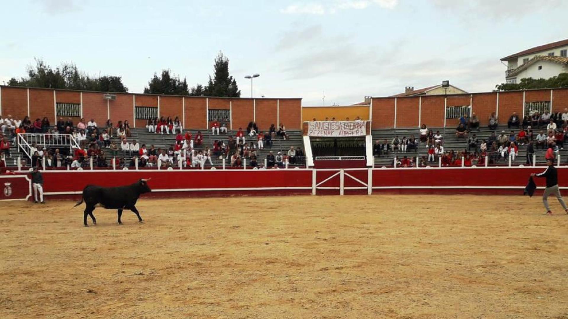 Se repite tres veces el encierro de Sangüesa por un fallo en la puerta de la plaza