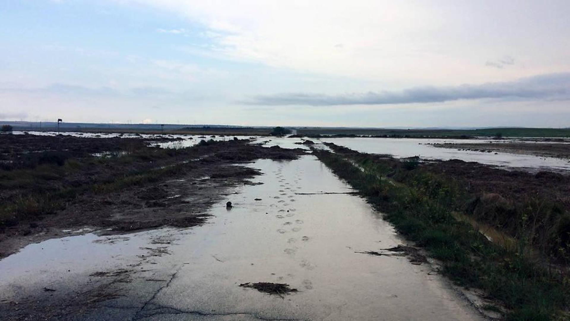 Cortada la carretera NA-5330 por el desbordamiento de la laguna de Pitillas