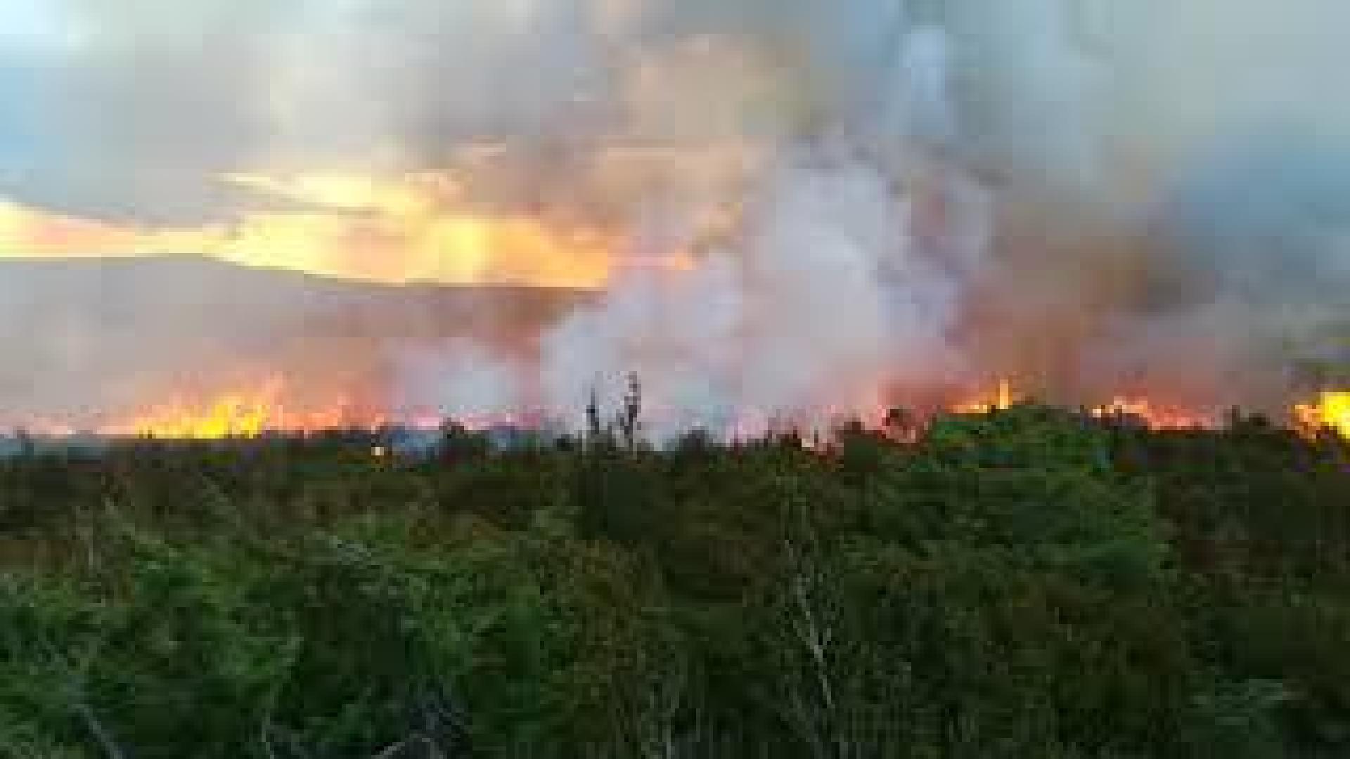 Quema controlada de arbustos en la sierra de Lokiz