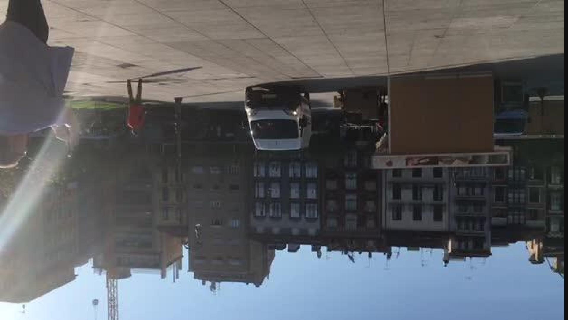 Suelta de dos águilas y dos halcones en la Plaza del Castillo
