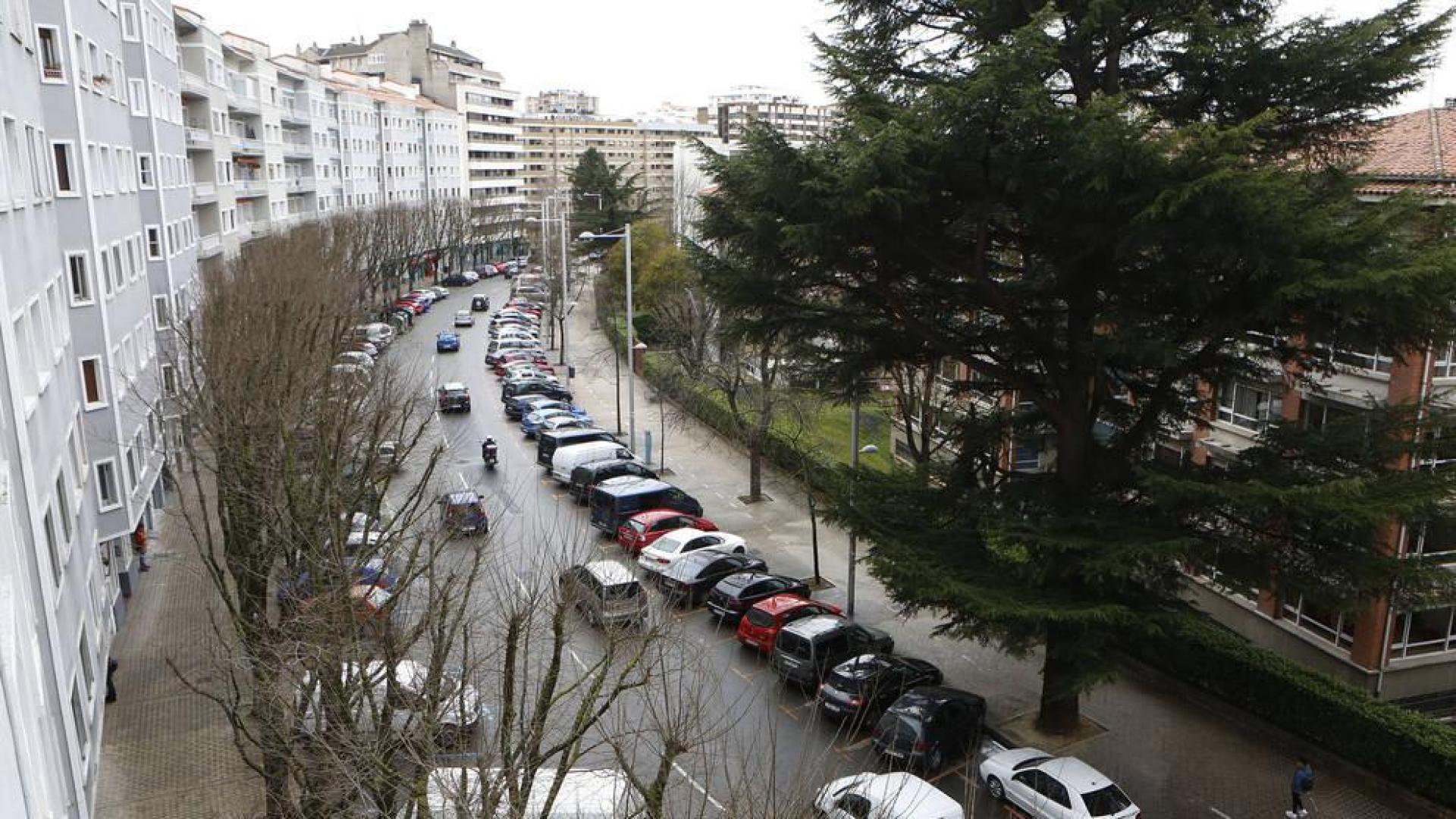 El Ayuntamiento planta árboles en 287 alcorques en el último año