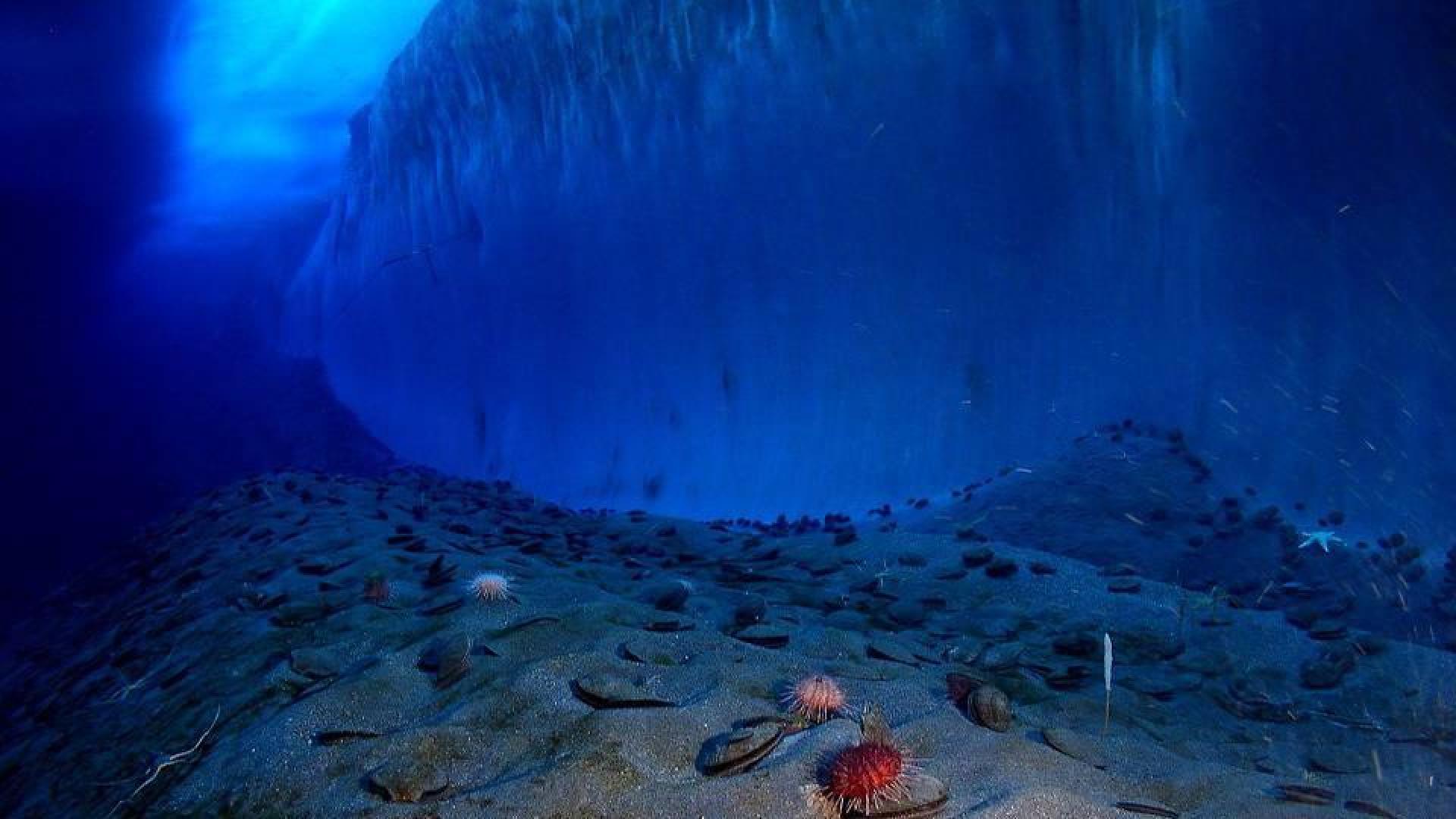 Oceanógrafas, las mujeres que cartografiaron el mar y midieron el radiactividad