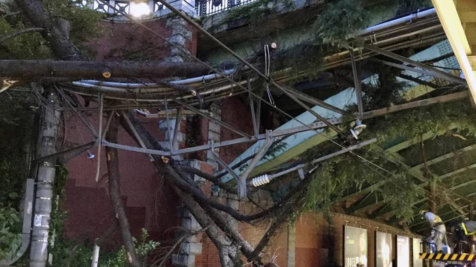 El tifón 'Trami' deja dos muertos y 84 heridos a su paso por Japón