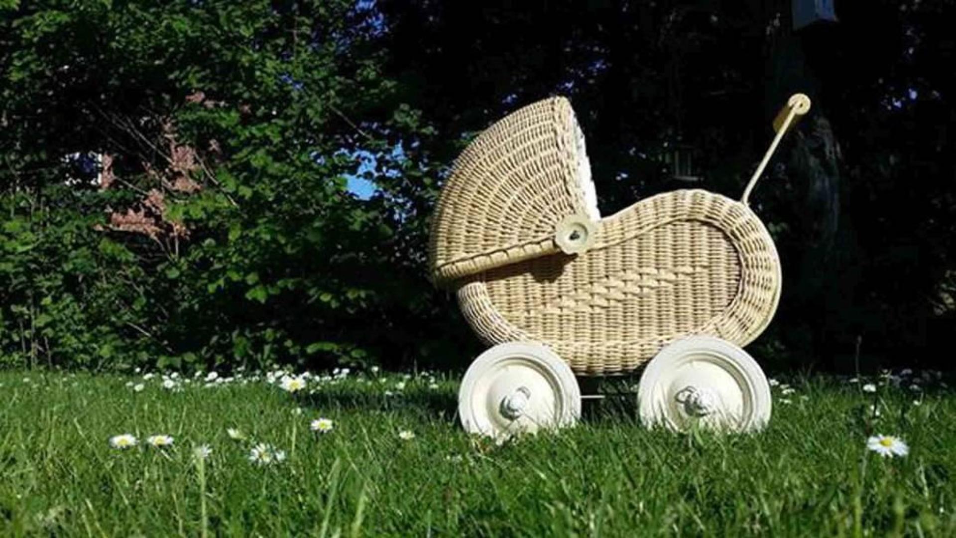 ¿Cómo escoger el mejor carrito para el bebé?