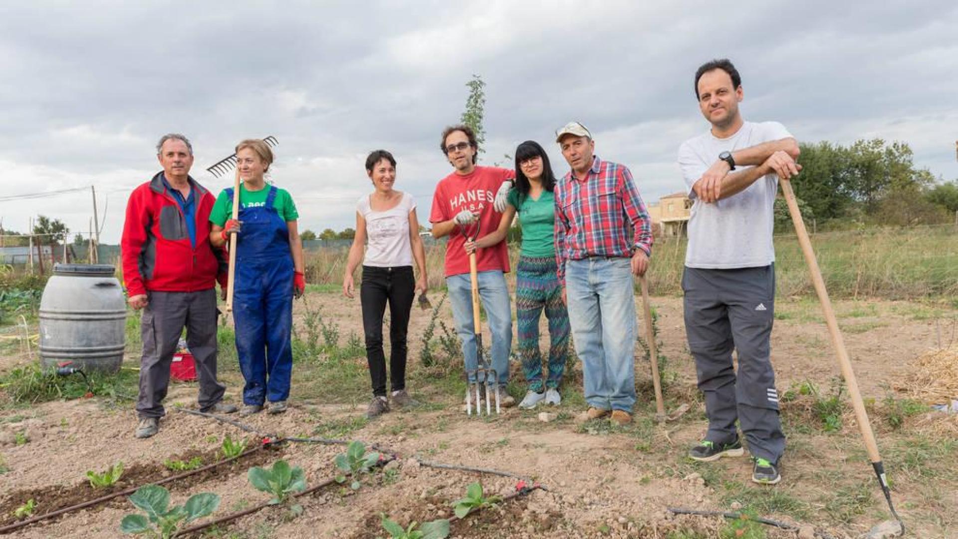Los huertos sociales y ecológicos de Tudela dan sus primeros frutos