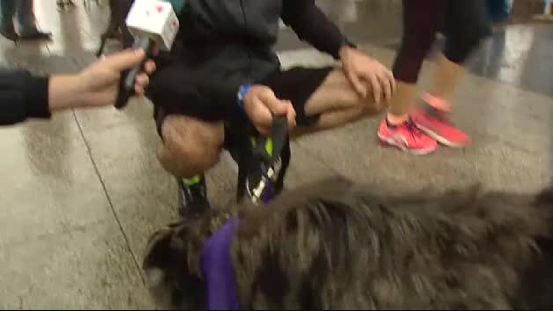Carrera solidaria Perrotón