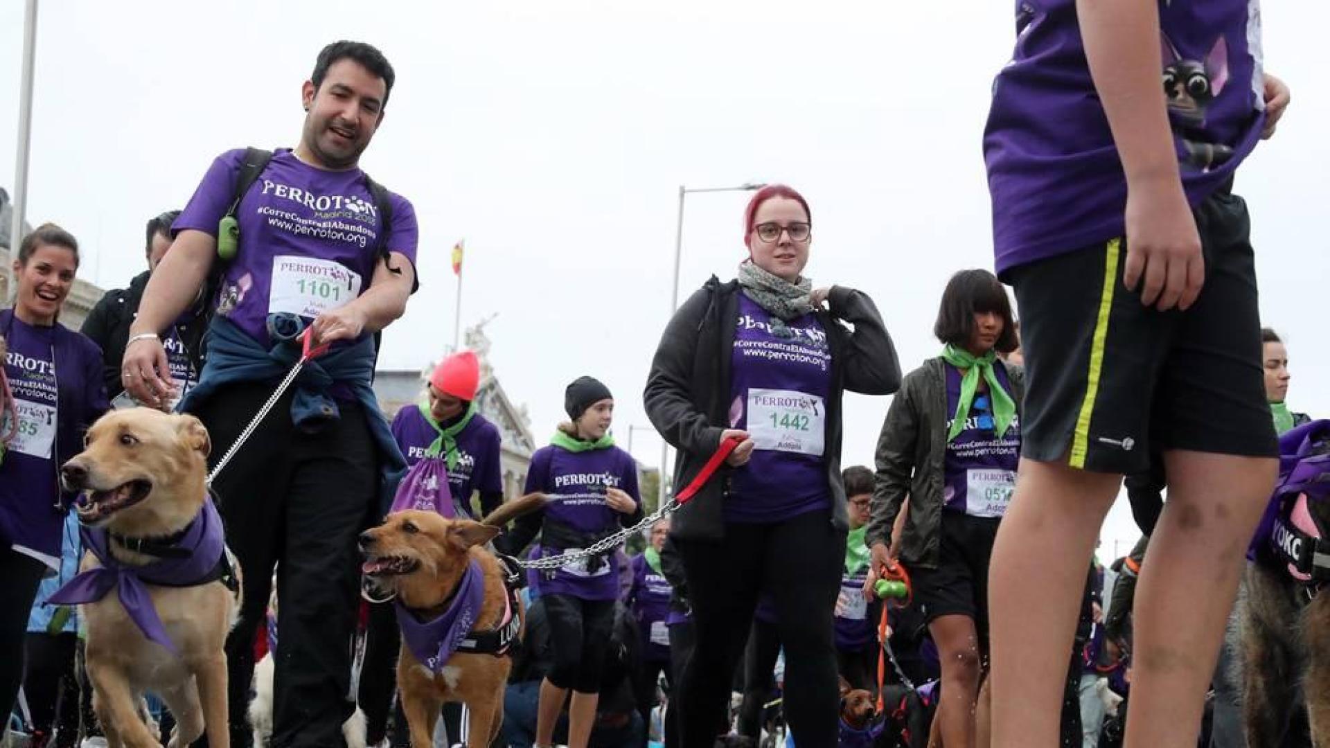 Más de 4.000 personas acuden a la carrera solidaria Perrotón para luchar contra el abandono de animales