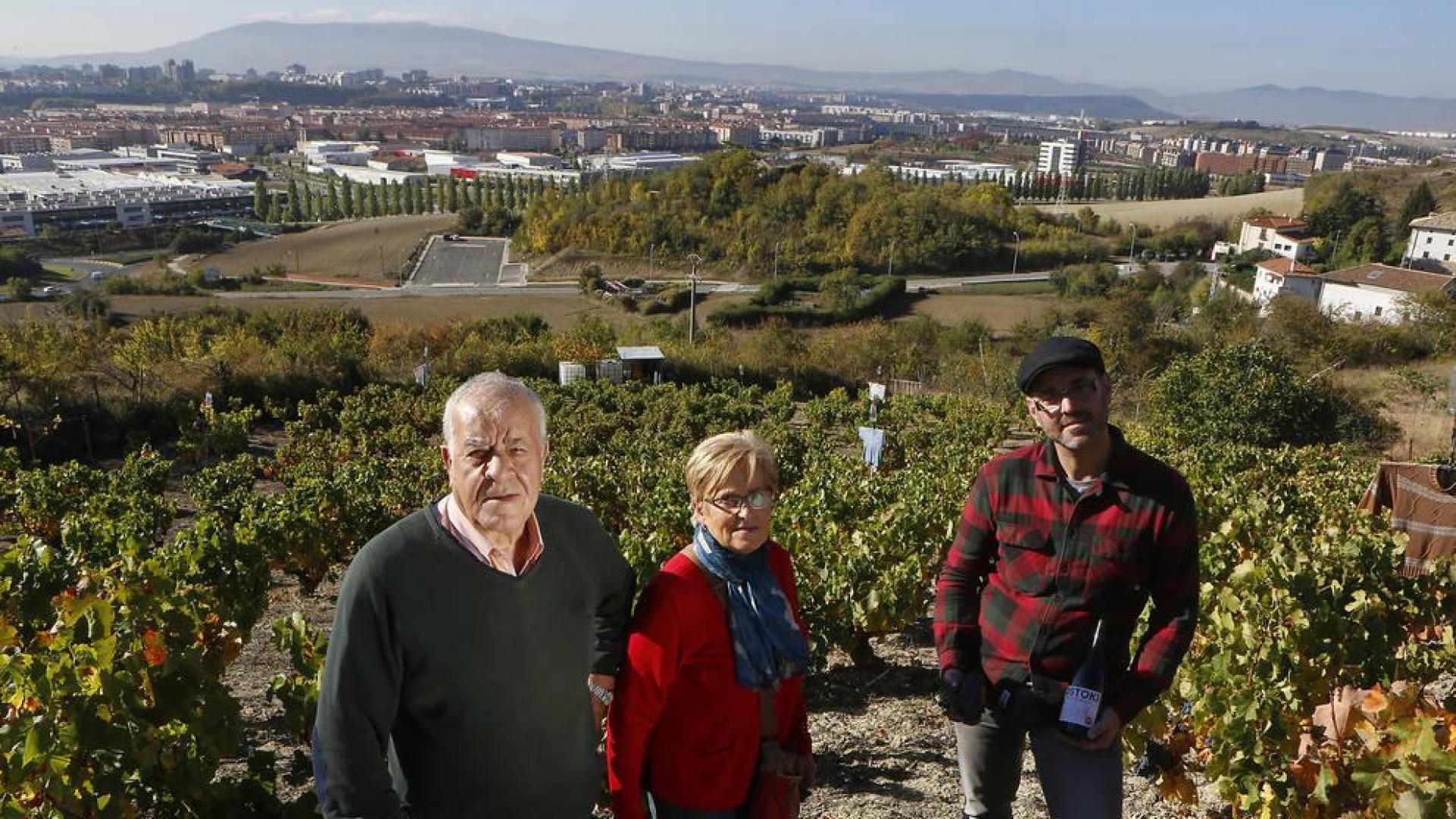 La recuperación de una viña y su caldo en Ansoáin evocan la época del chacolí
