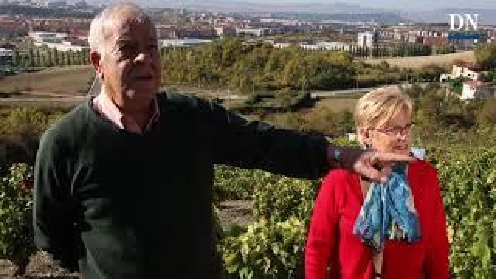 Viñedos en Ezkaba