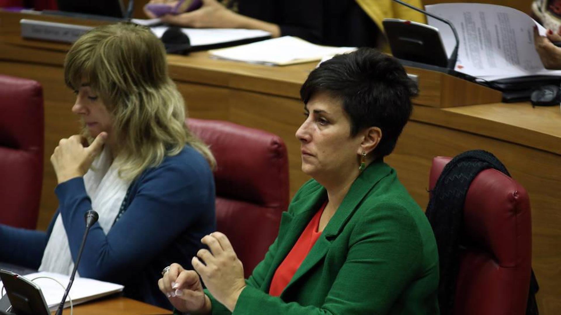 El Gobierno foral, disconforme con la propuesta PP de las prestaciones de maternidad