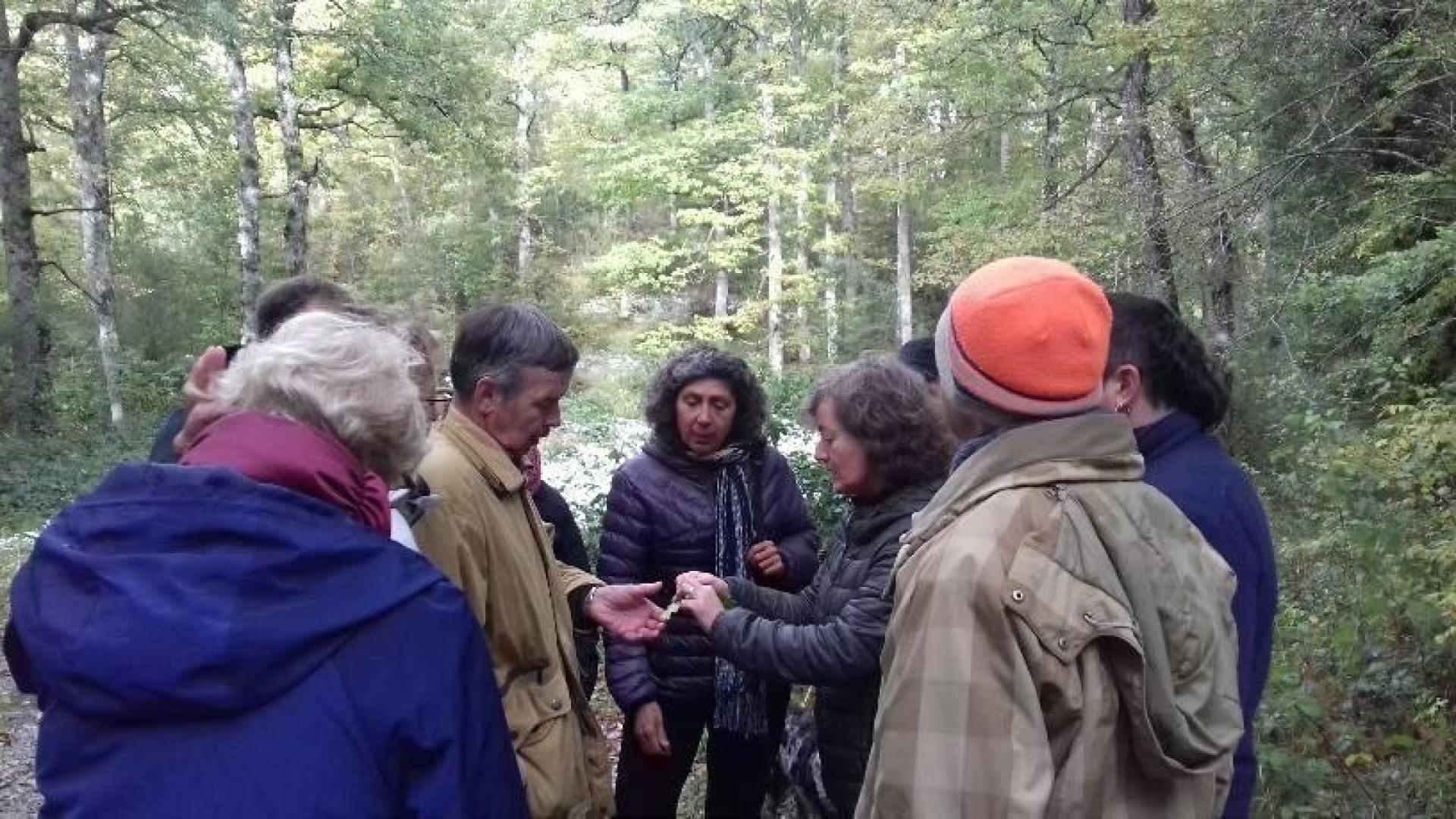 Erro-Roncesvalles cobrará a partir de primavera la recogida de setas