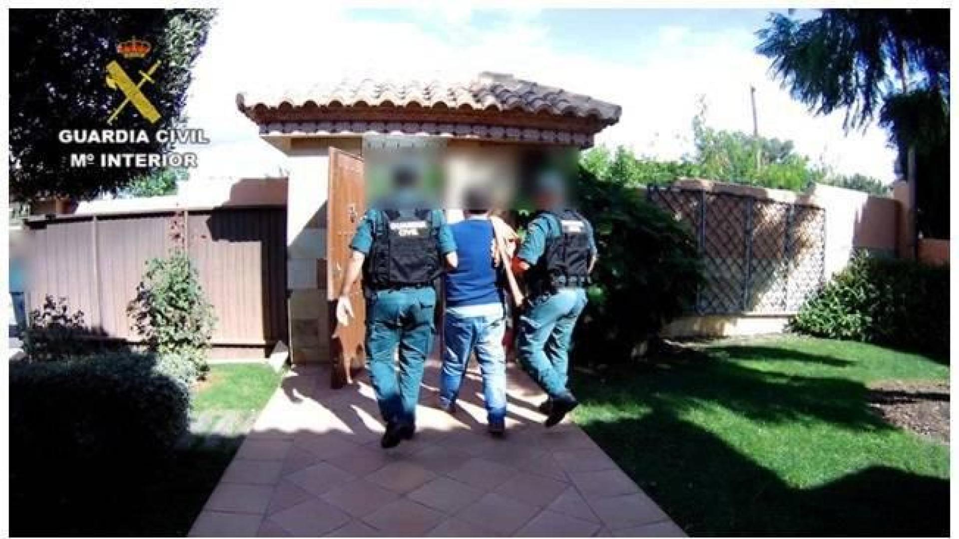 13 detenidos tras la incautación de 33.000 plantas de marihuana
