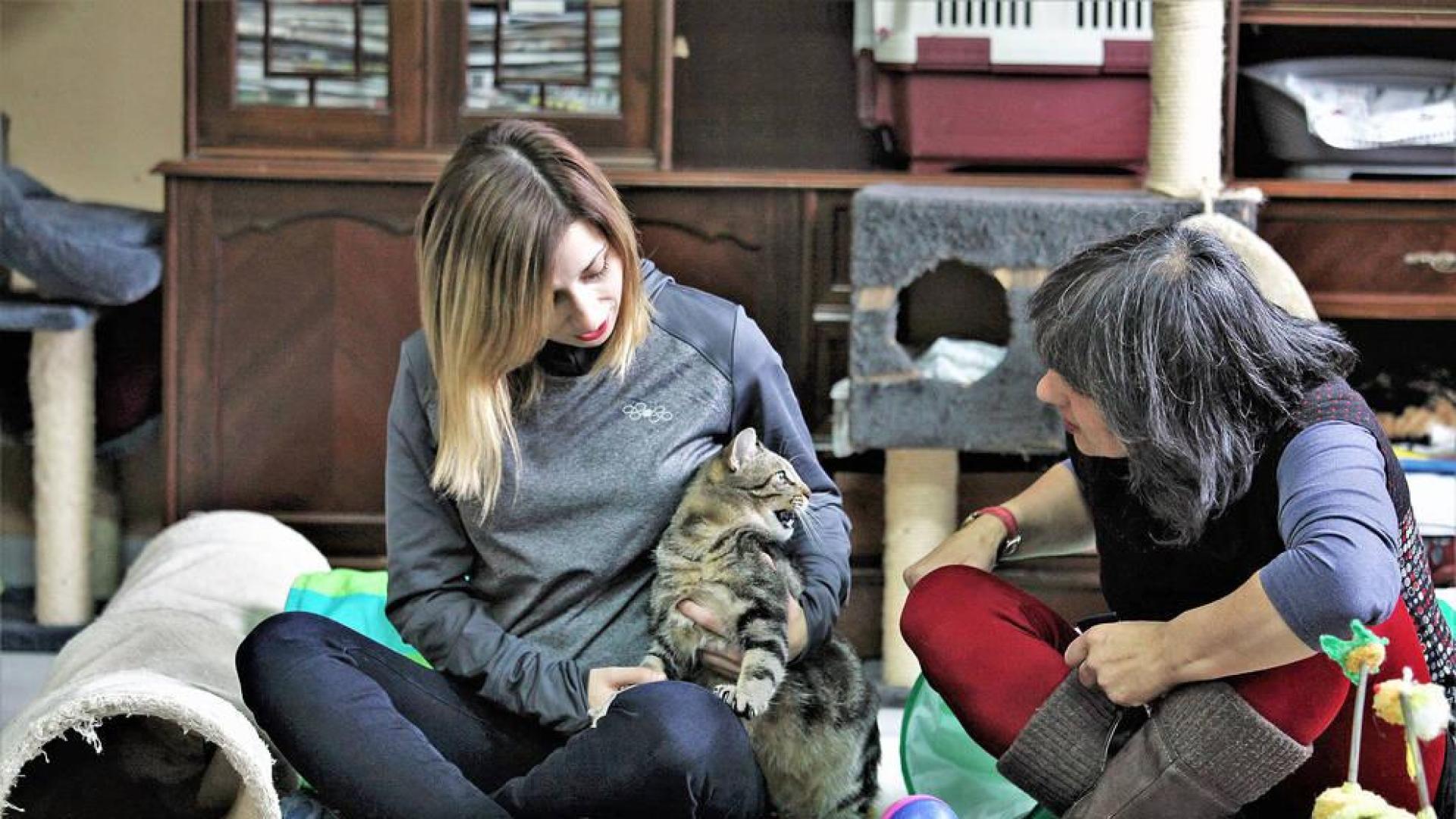 Dos hermanas gatas con muy mala suerte