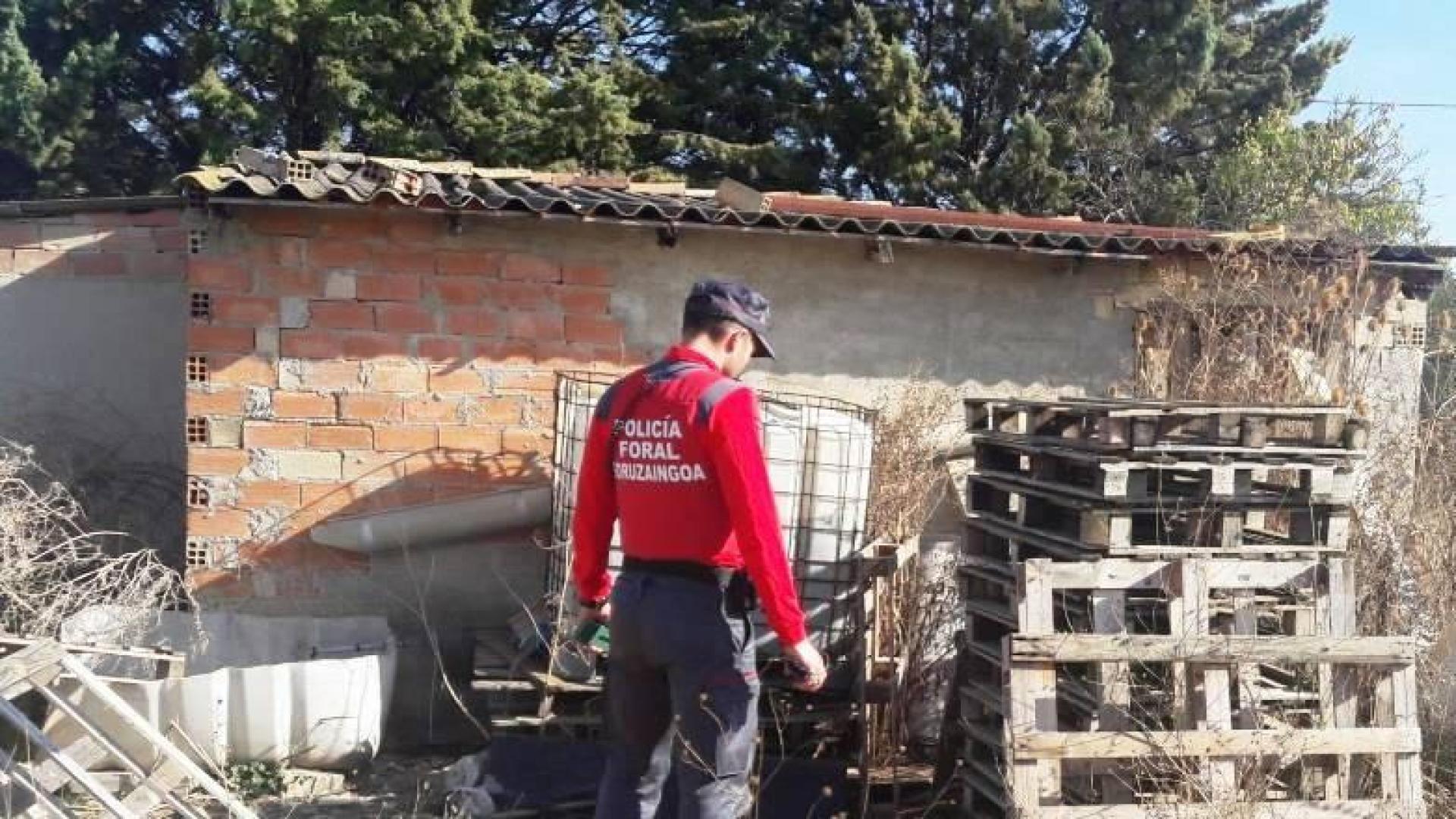 Investigado en Berbinzana por un presunto delito de maltrato animal
