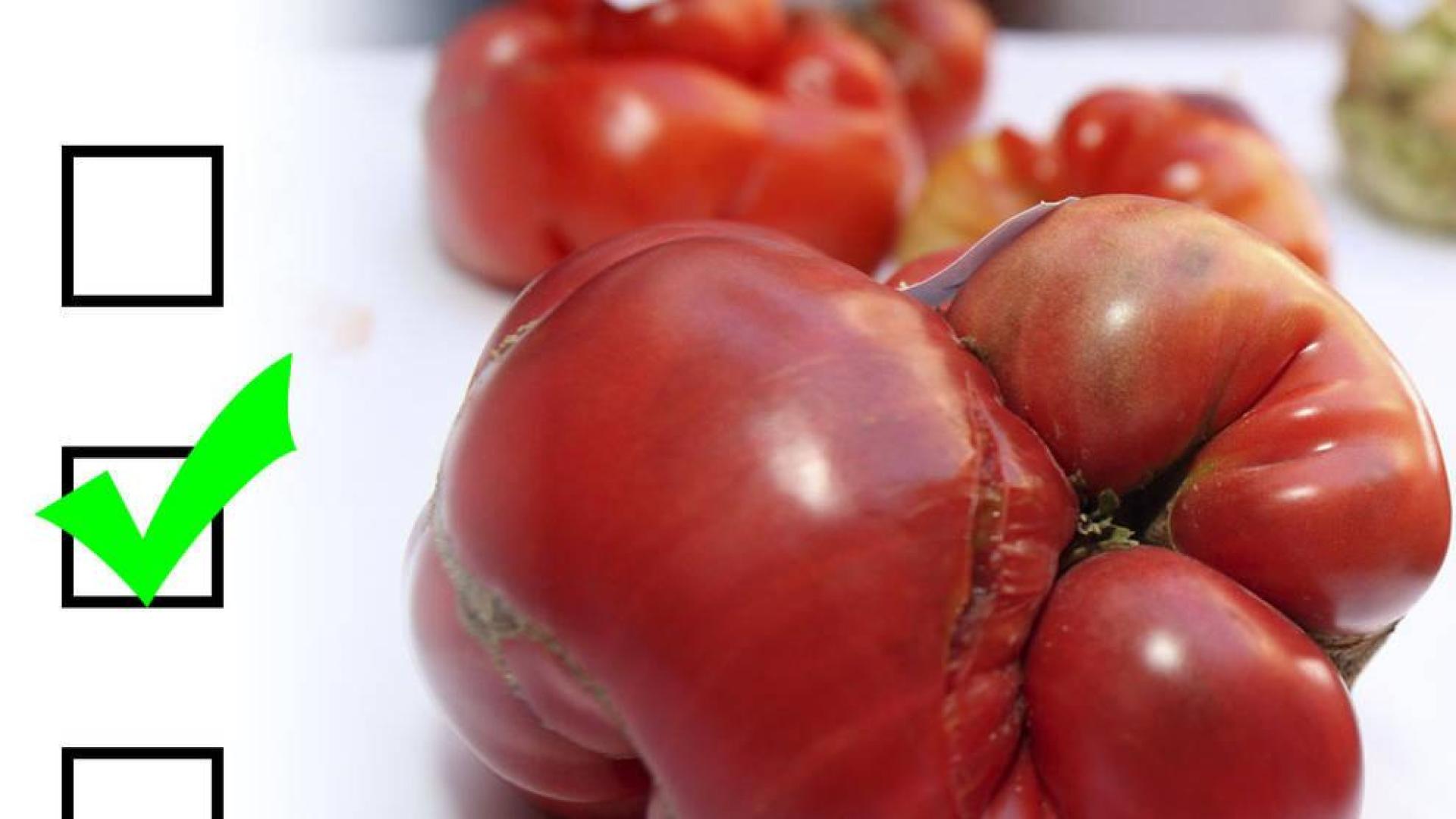 ¿Cuánto sabes de gastronomía de la Ribera navarra?