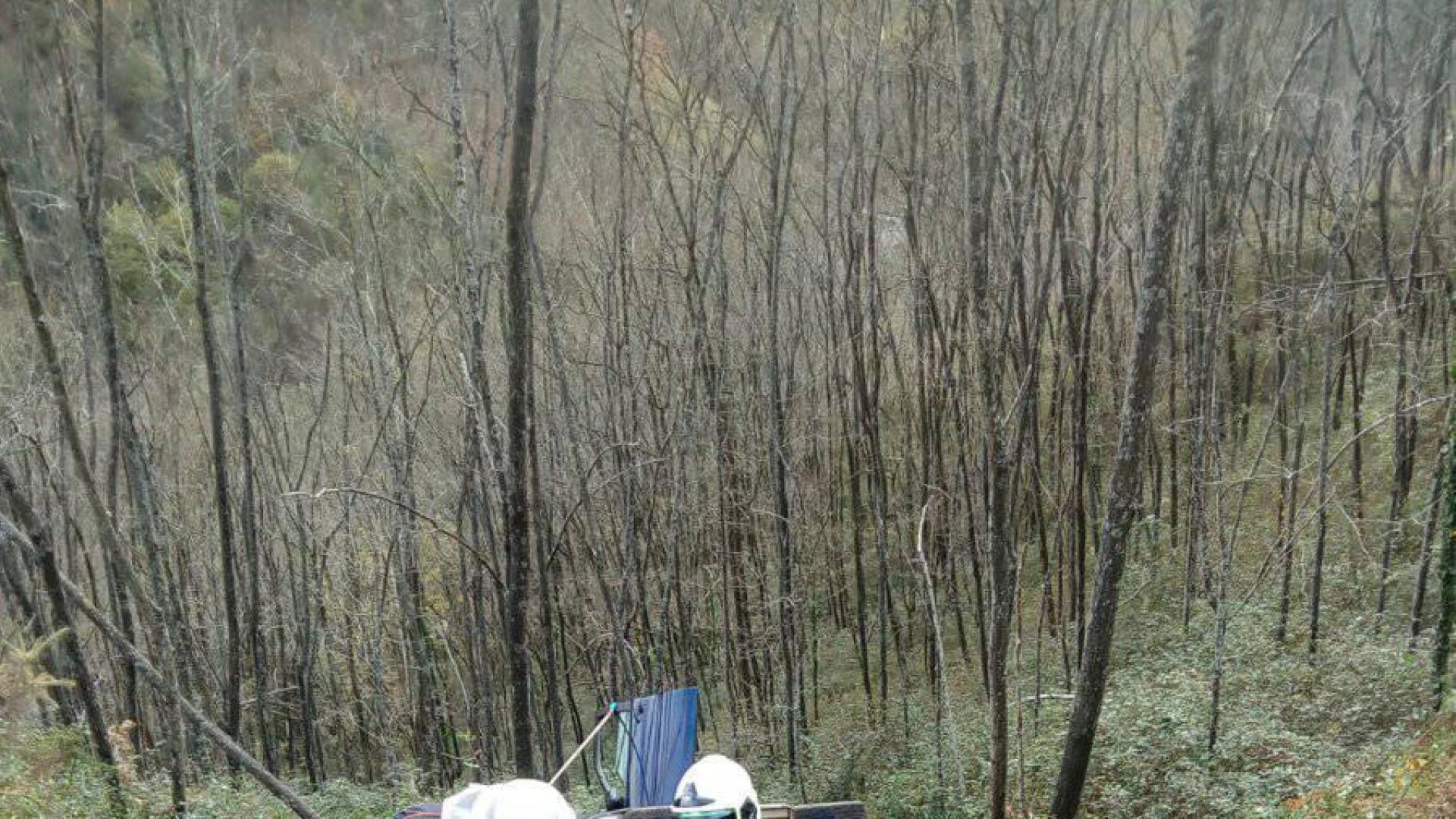 Desatrapado un conductor tras salirse de una pista forestal en Lesaka