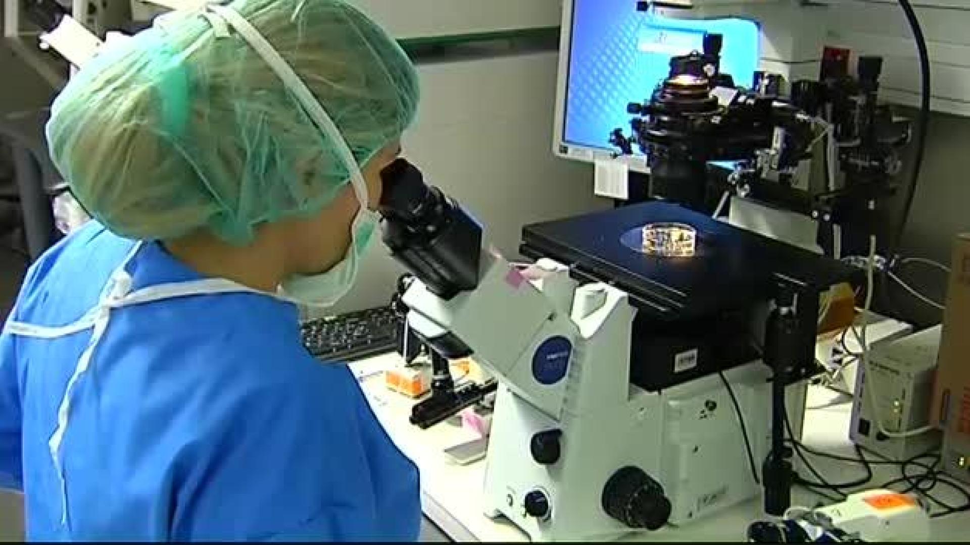 Un científico chino afirma haber creado los primeros bebés modificados genéticamente