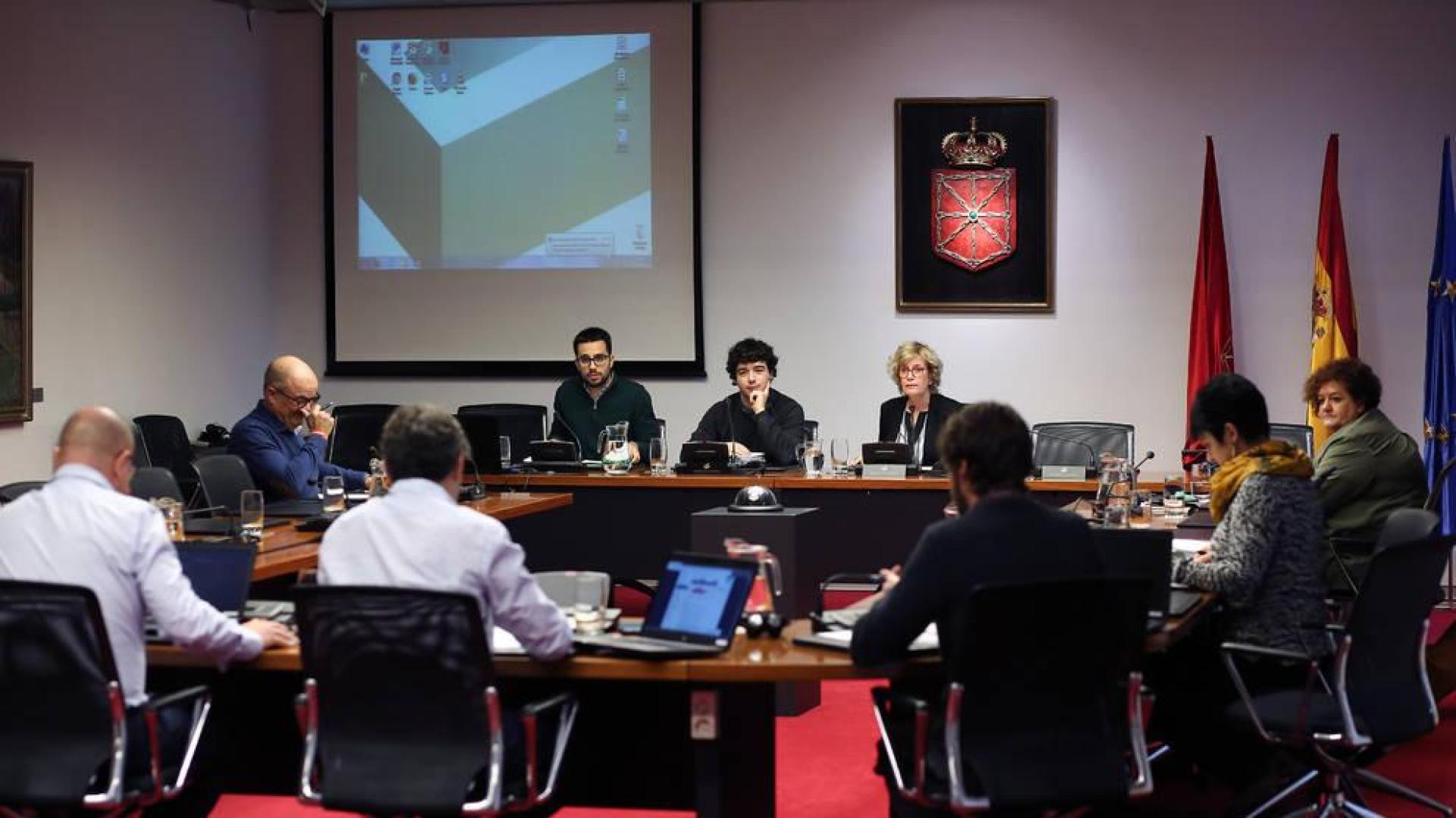 La voz de los jóvenes, en el Parlamento