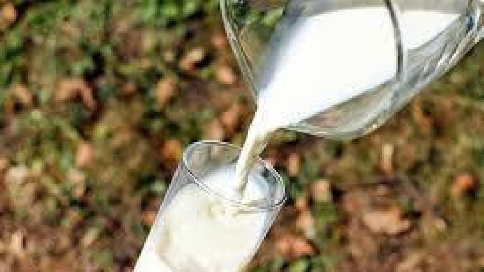 Los productos lácteos tendrán que incluir el país de origen de la leche en la etiqueta