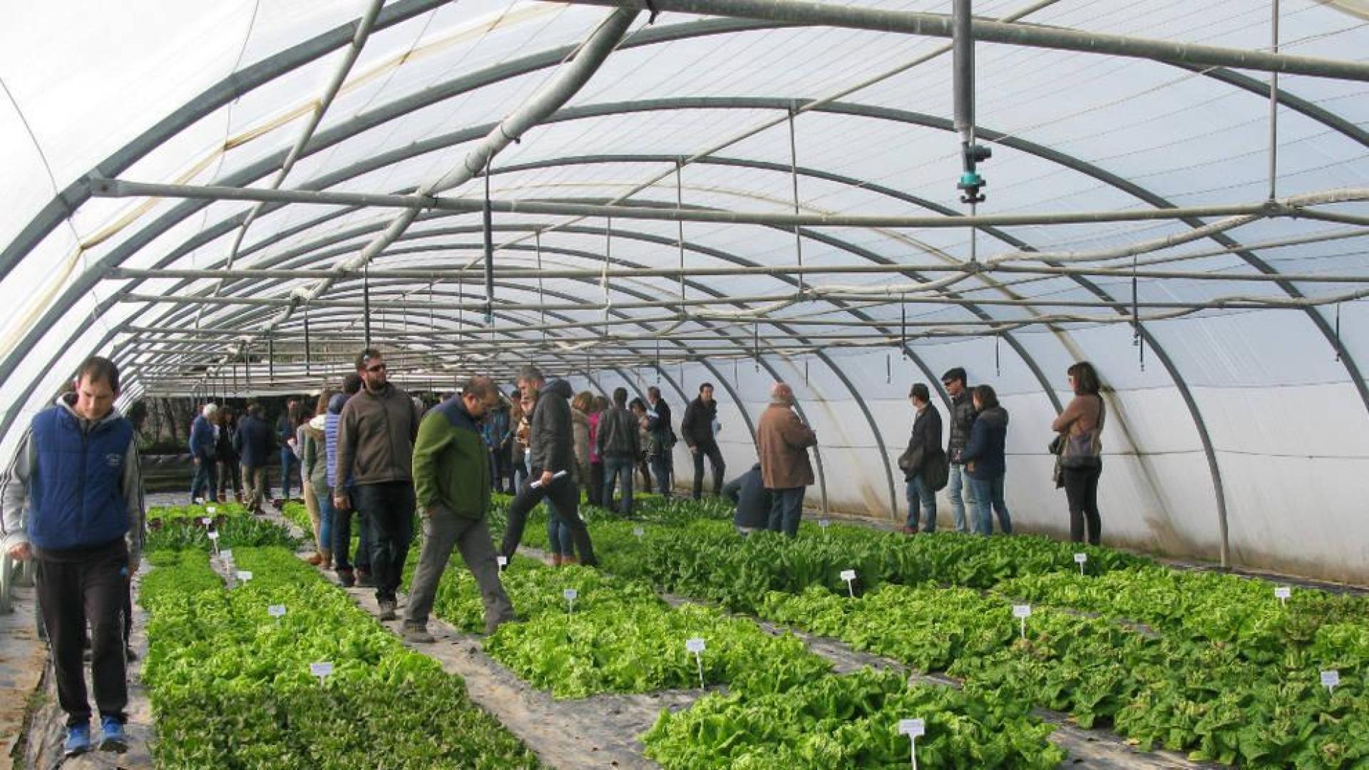 INTIA expone las nuevas tendencias de la agricultura ecológica