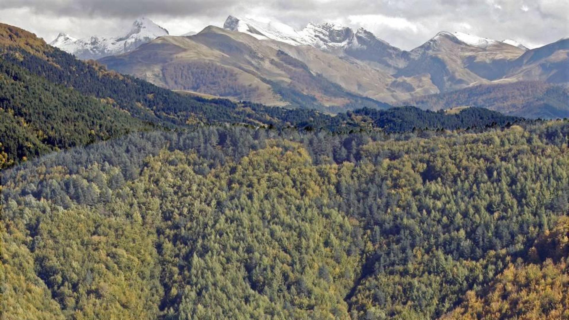 El cambio climático aumenta en 1,2° la temperatura de los Pirineos