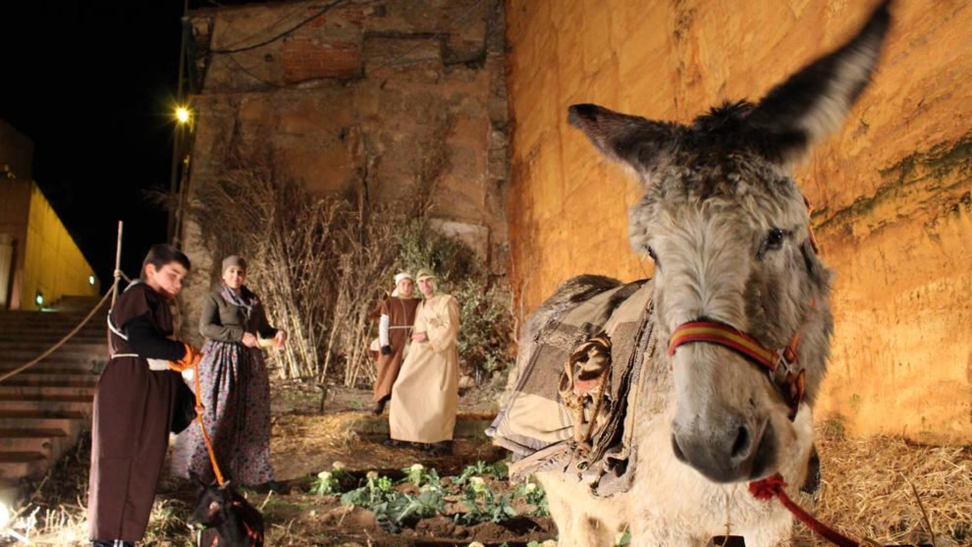 La representación cuida al máximo los detalles y el realismo con la presencia de animales vivos.