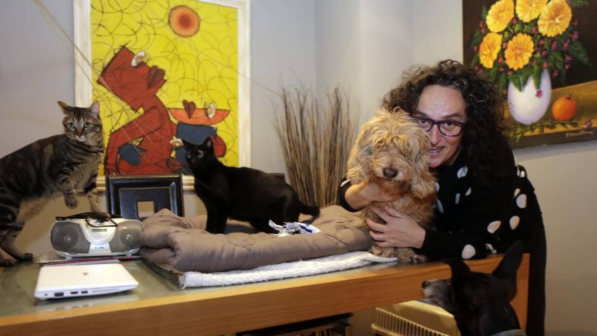 Dos perros y cuatro gatos que son camarilla en Sarriguren