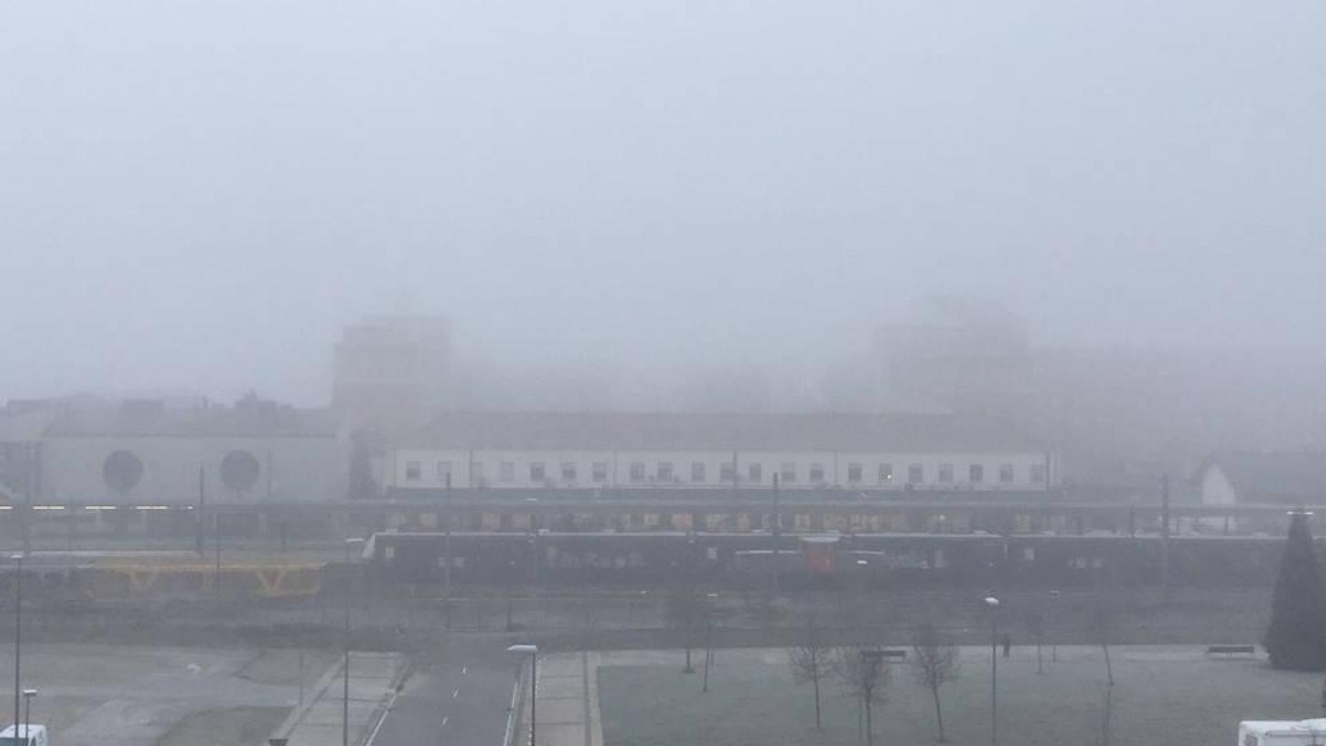 Un amanecer helado y con niebla en Pamplona congela los termómetros a -3ºC