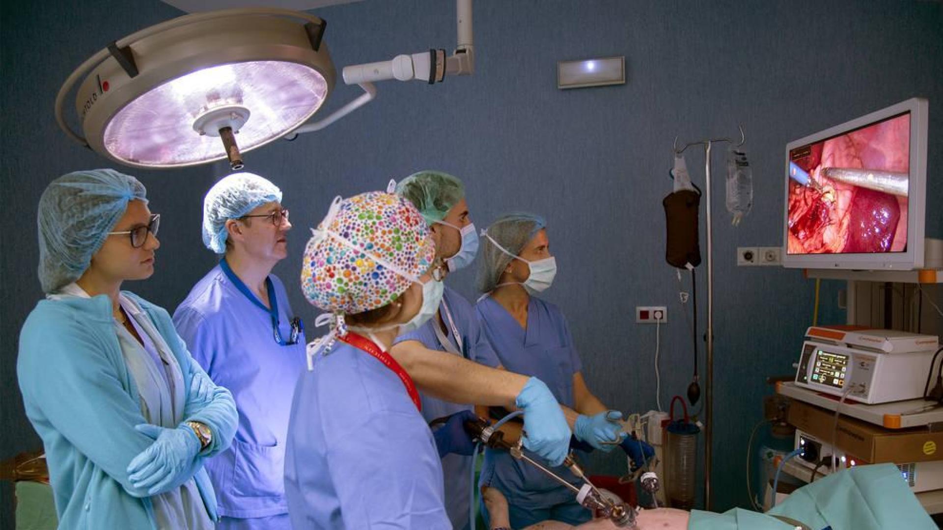 Salud forma a los profesionales de cirugía en técnicas de laparoscopia