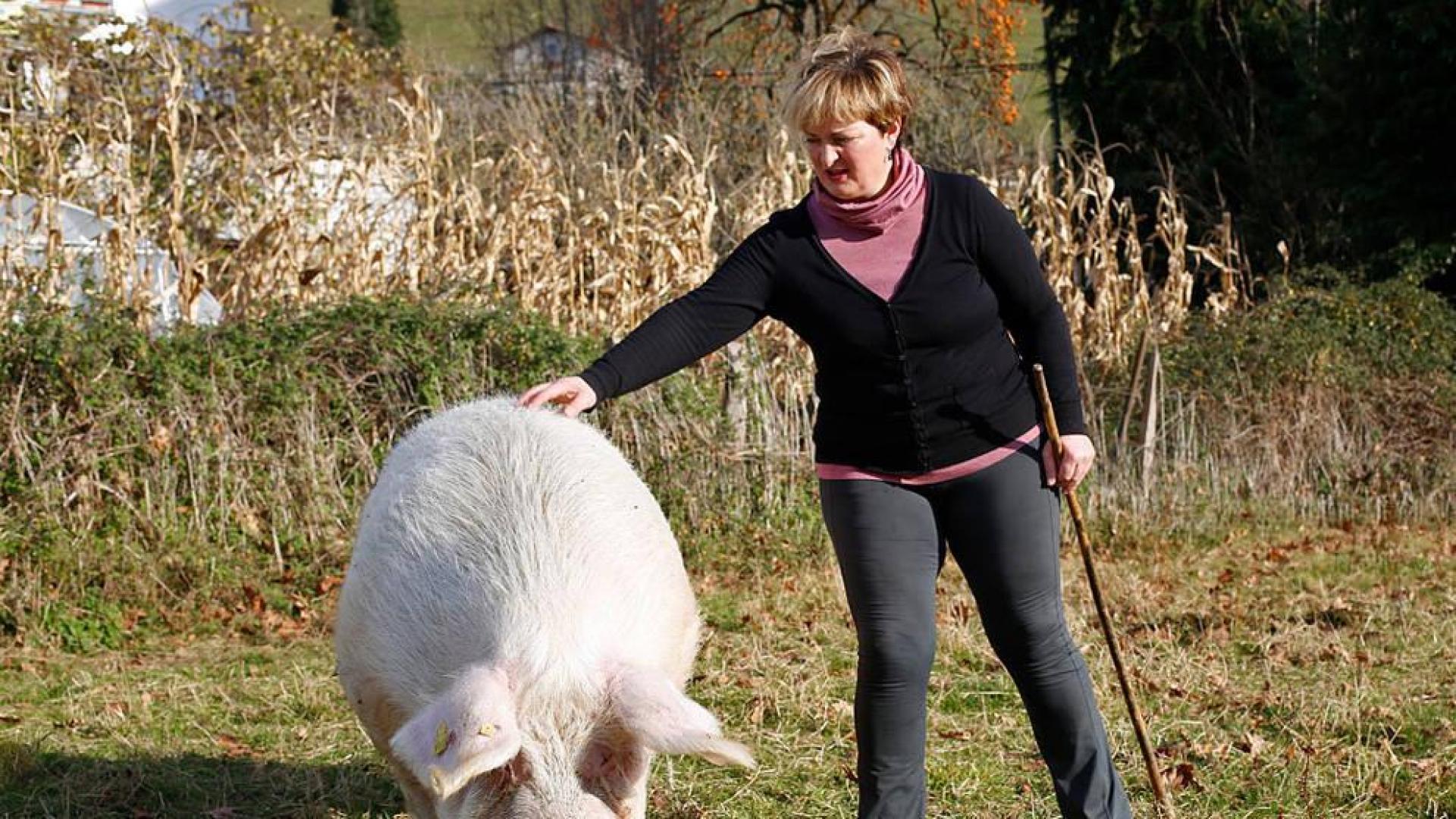'Gilda' reina en San Sebastián