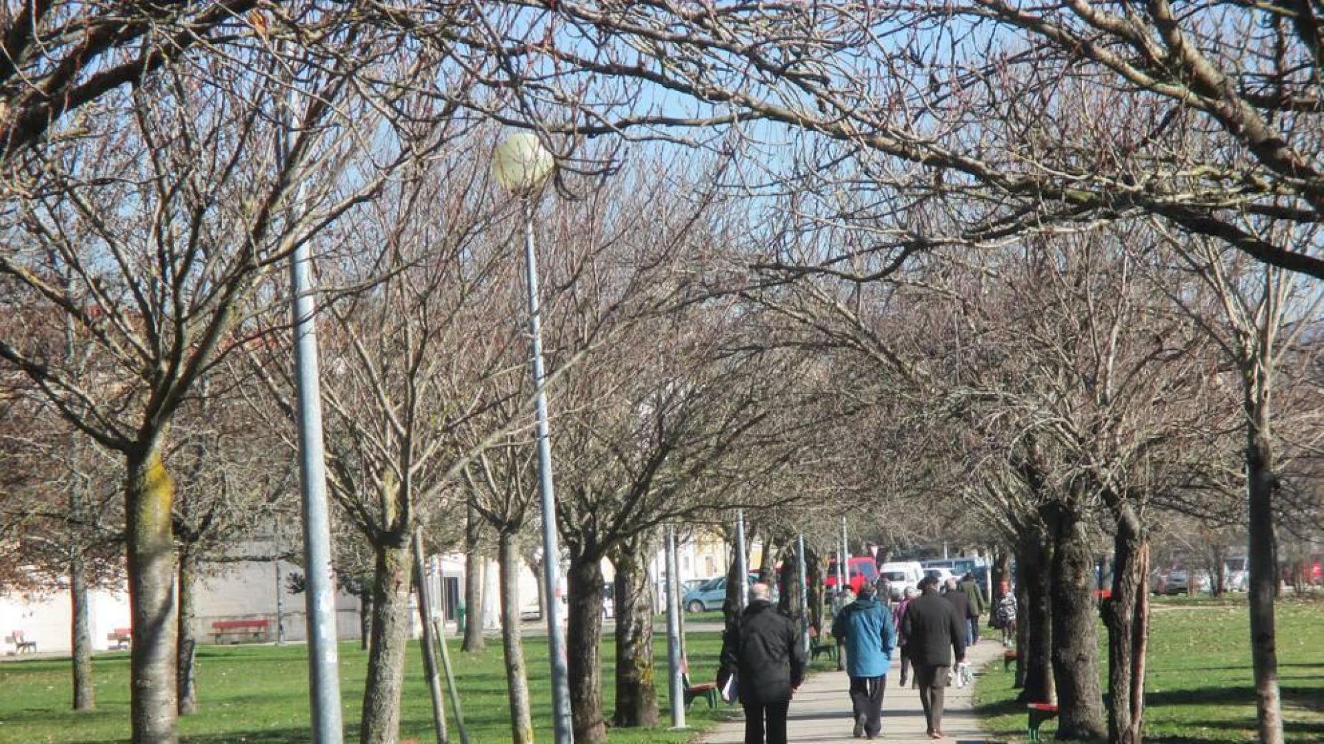 Martes soleado en Navarra, pero con sol “engañoso”