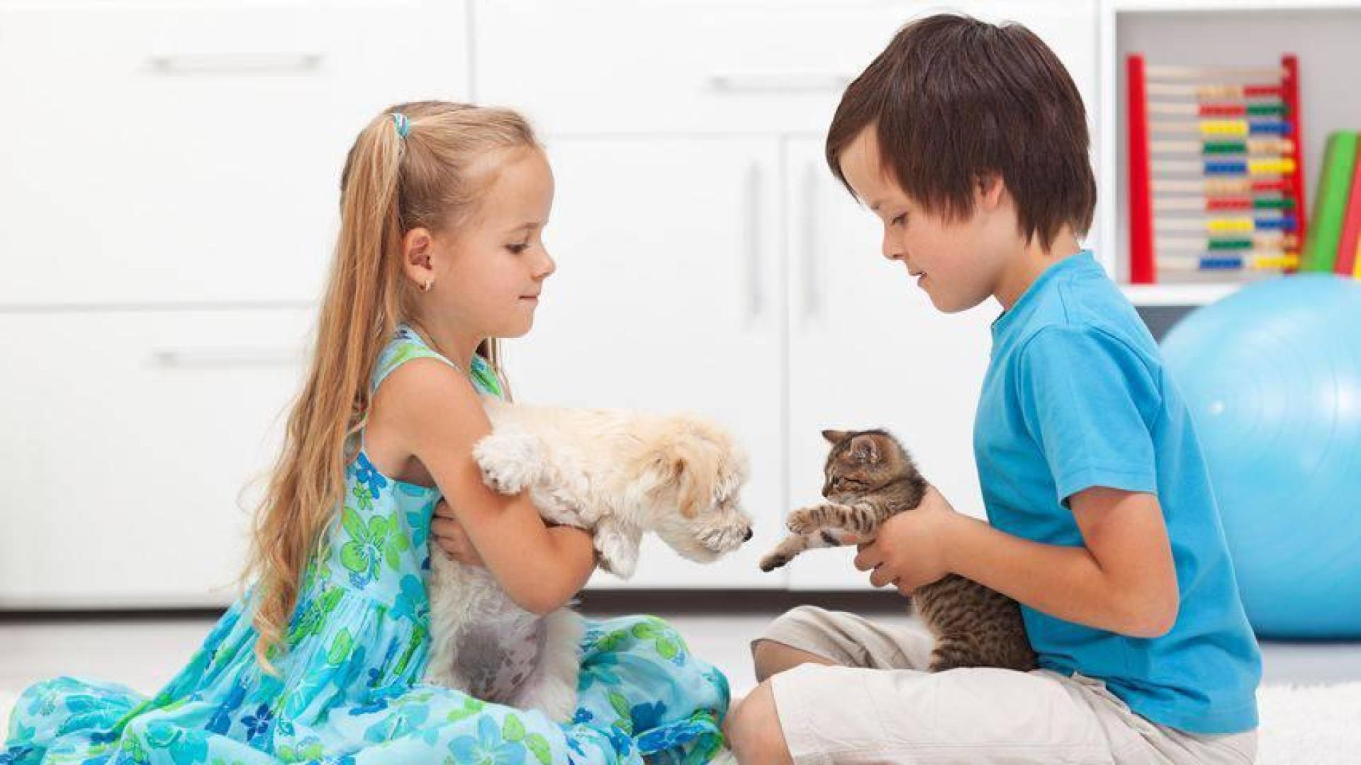 niños mascotas seguros