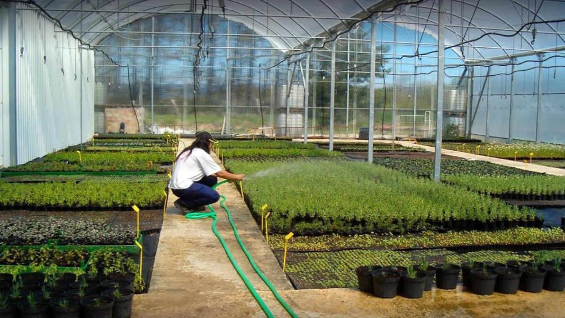 Un proyecto de bioeconomía circular generará hasta 15 empleos directos en Lumbier