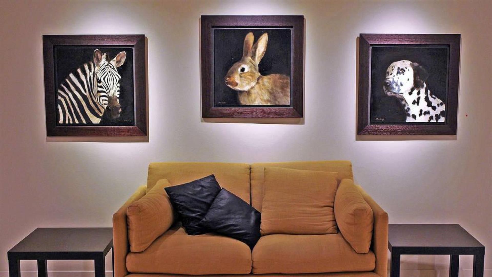 Los retratos de animales, tanto salvajes como domésticos, de Miguel Macaya impactan por la profundidad expresiva, las posiciones de la cabeza y la miradas.