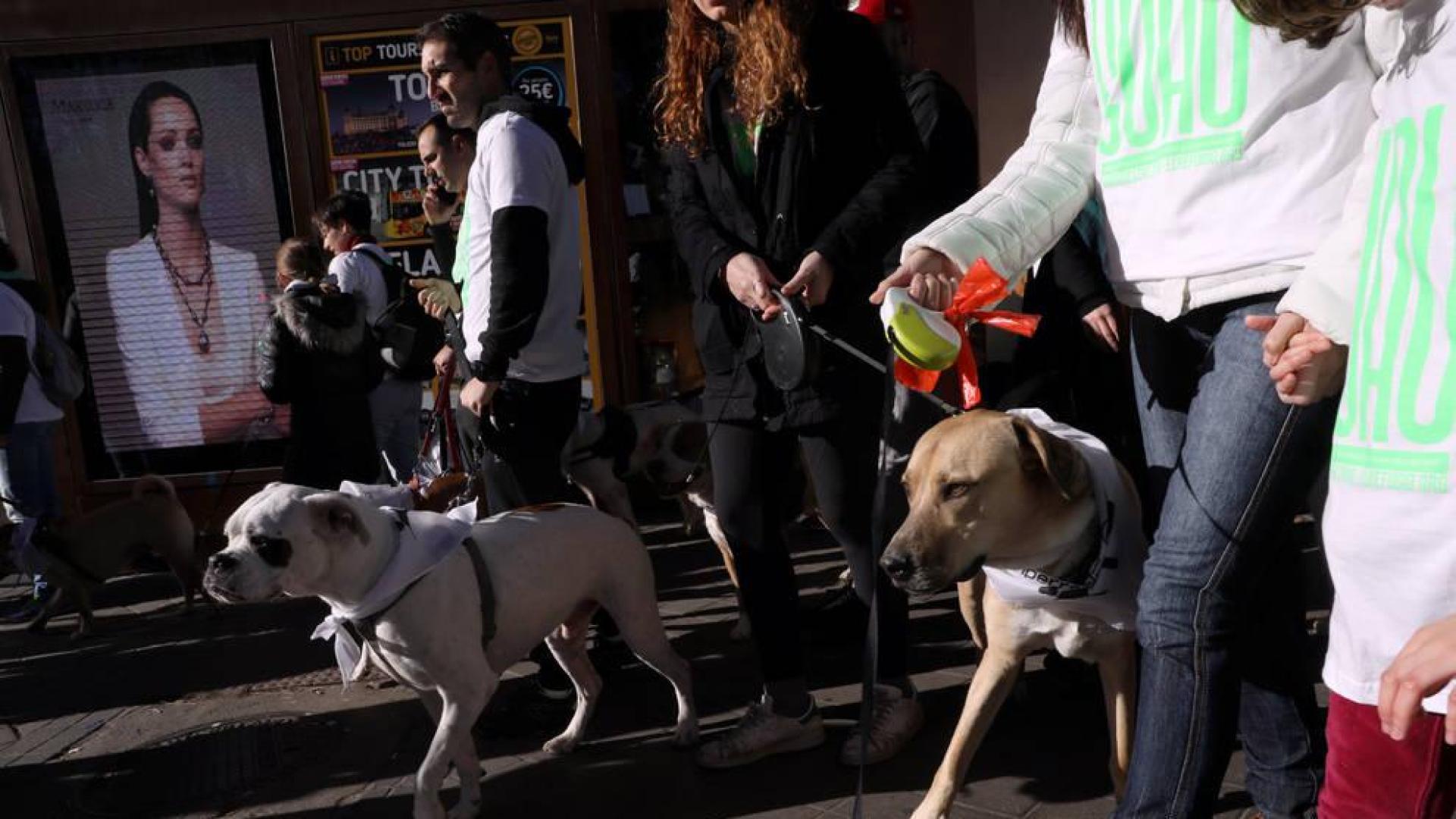 La 'Sanperrestre' recorre Madrid para reivindicar la adopción de animales