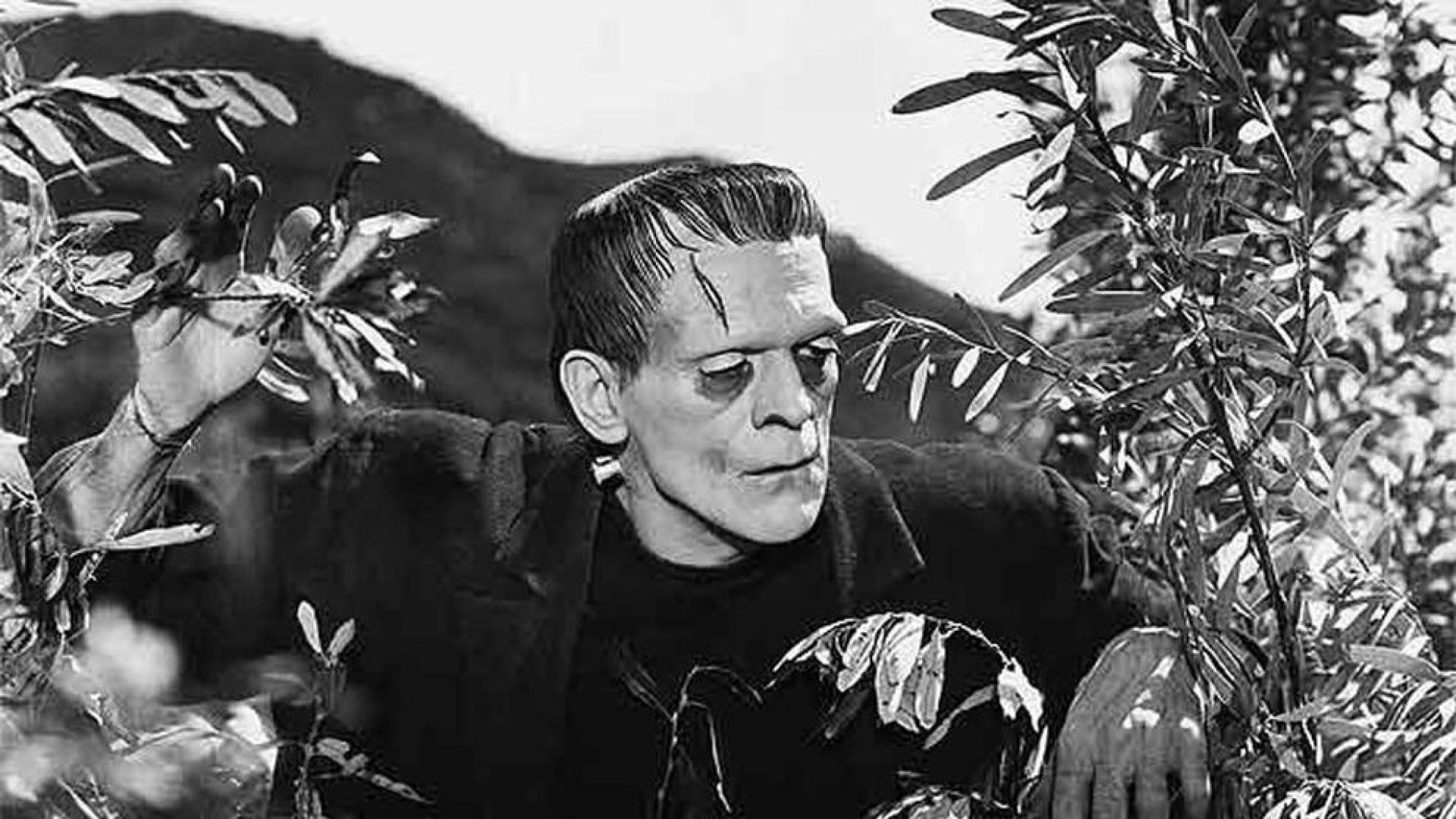 Los lectores ven a Frankenstein en pintura